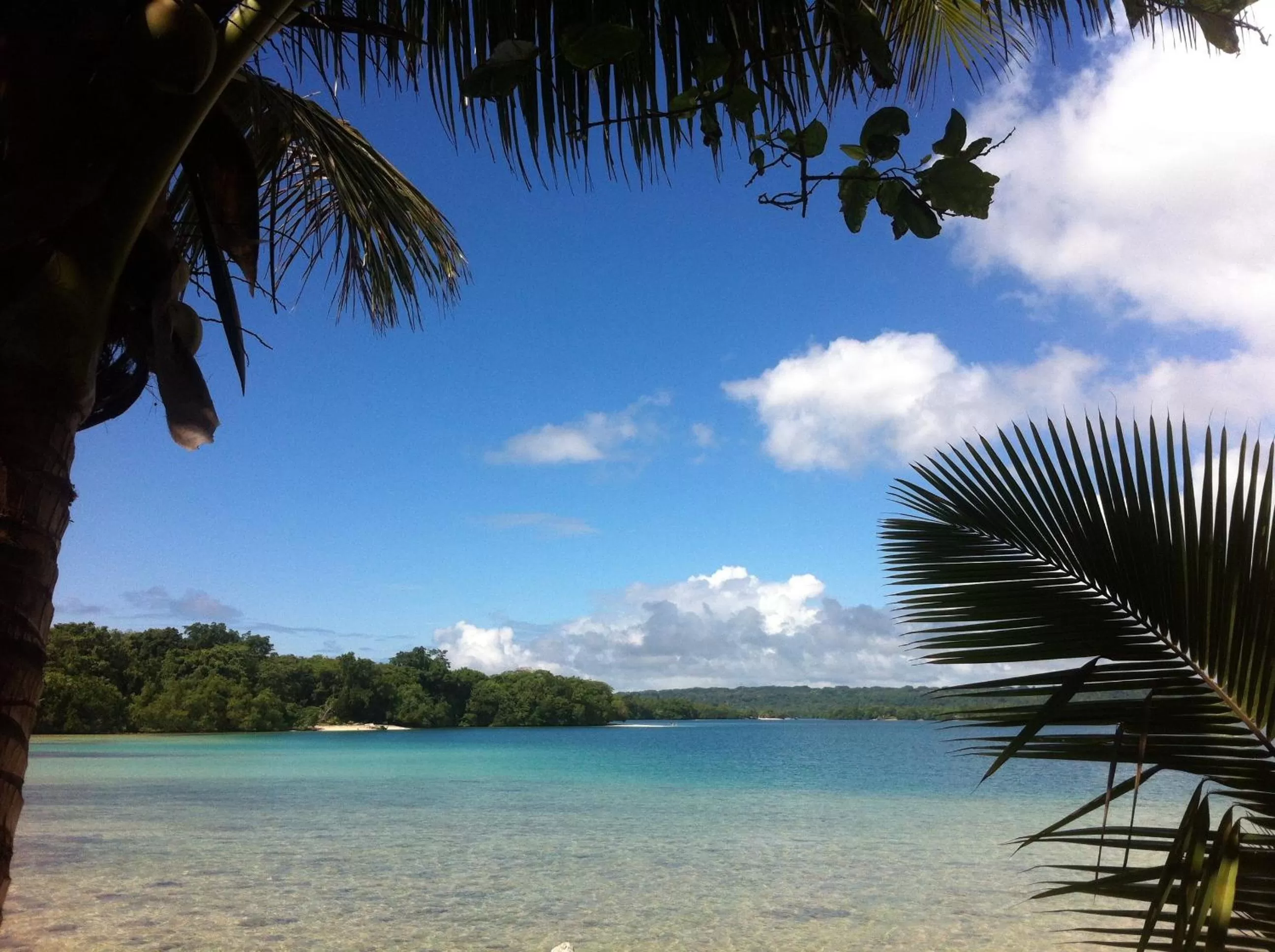 On site in Turtle Bay Lodge