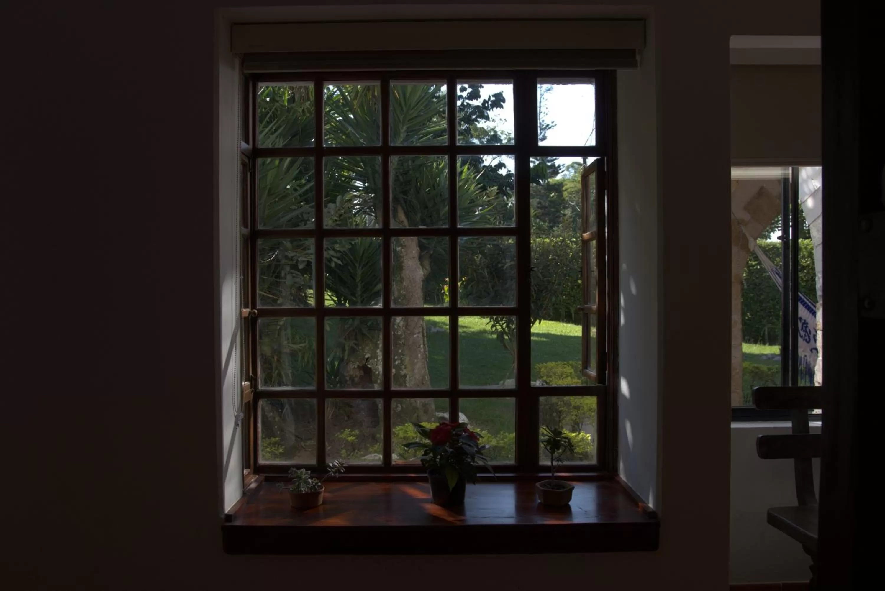 Garden view in Hotel Chalet El Castillo by Majuva