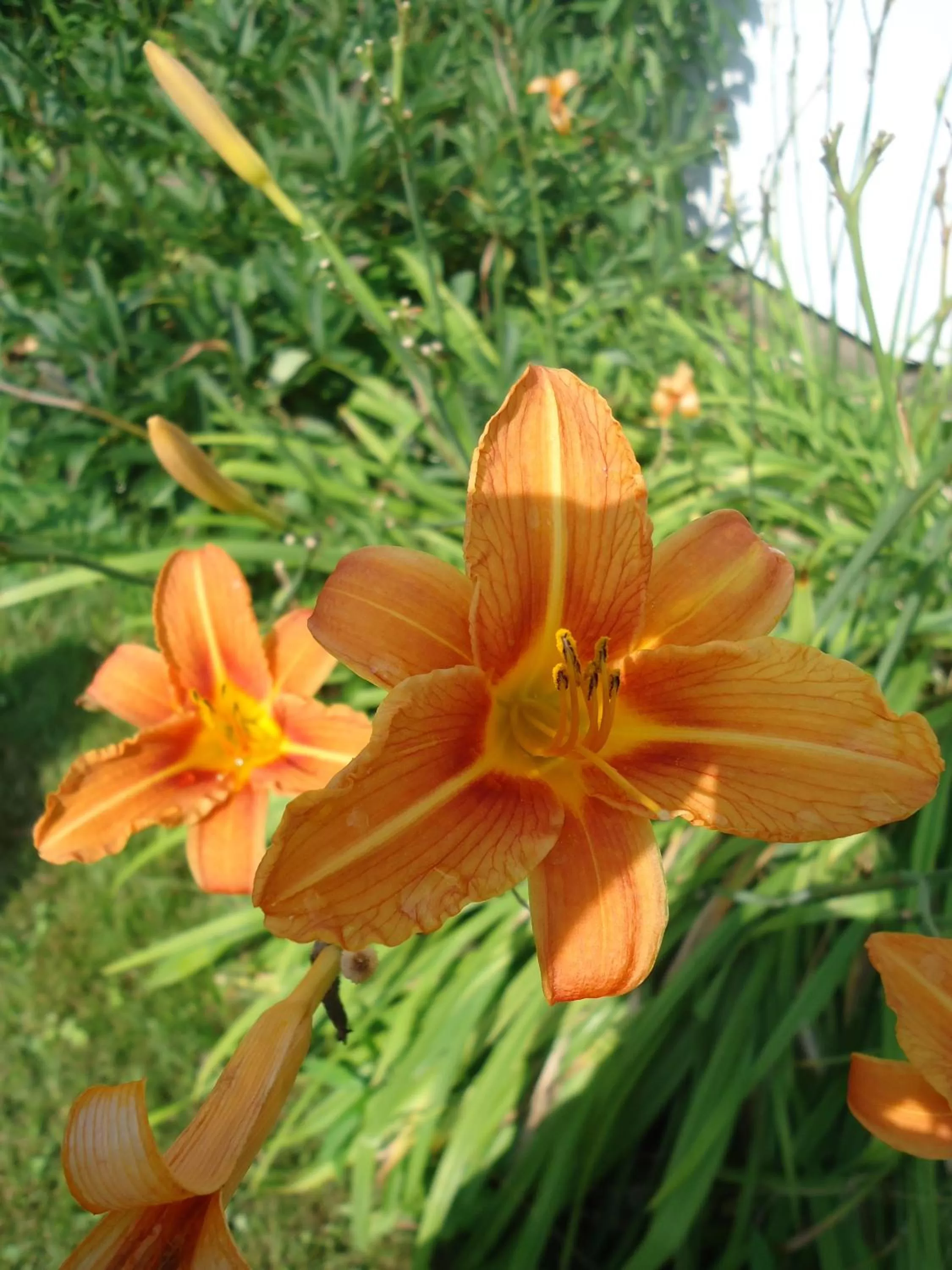 Decorative detail in Das FRITZ Hotel