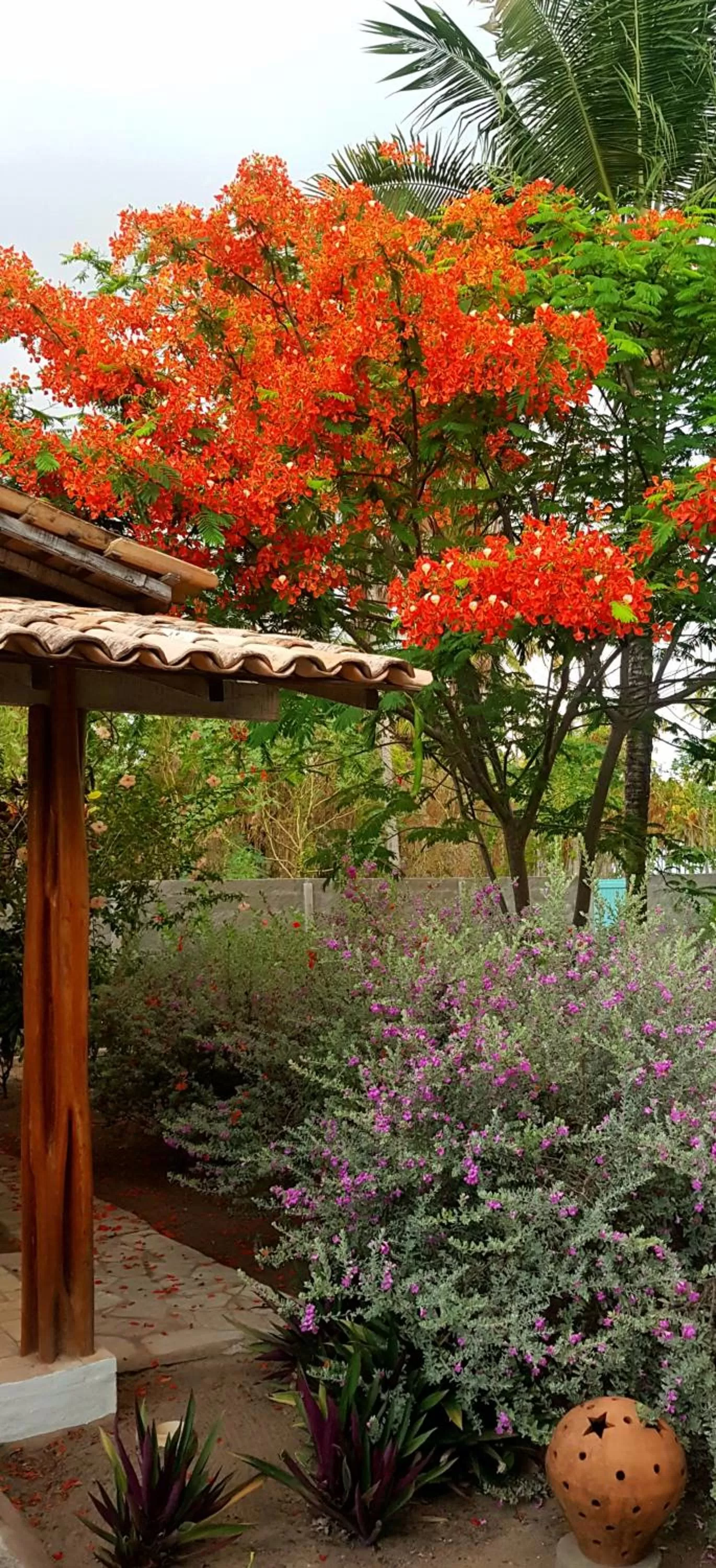 Patio in Pousada Villages Boutique Hotel