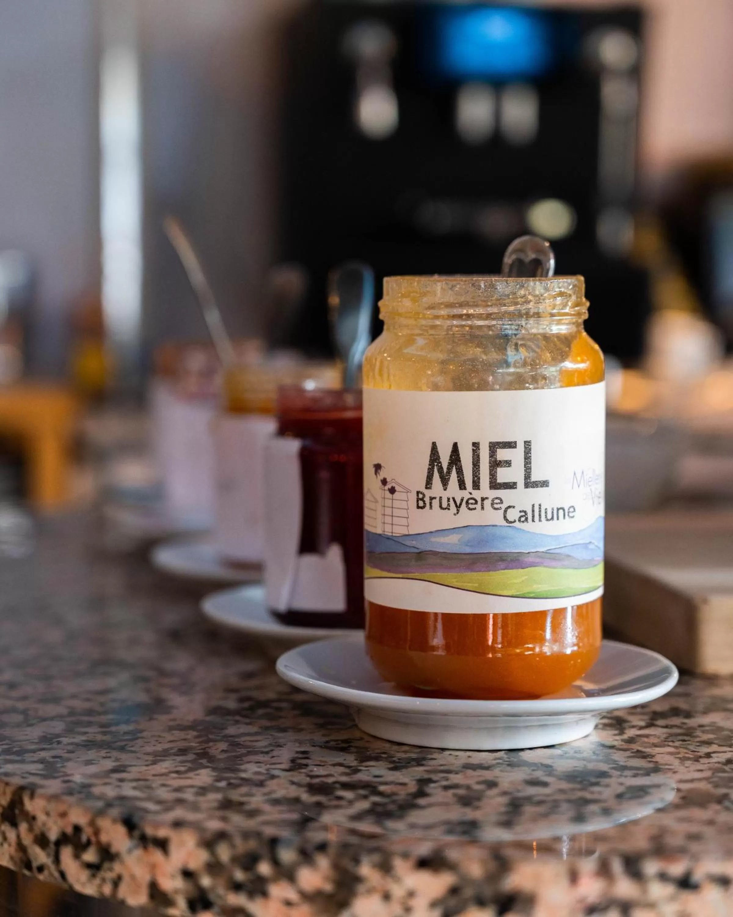 Breakfast in The Originals Boutique, Hôtel du Pont Roupt, Mende