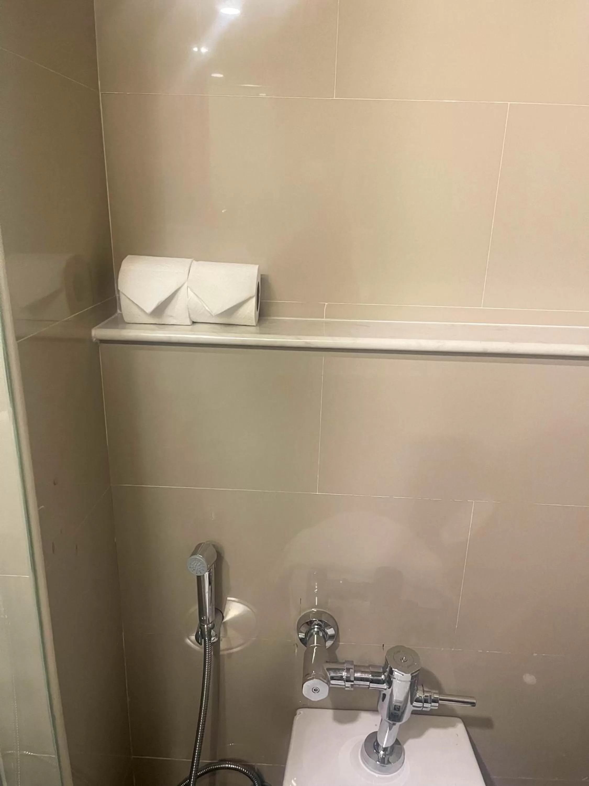 Toilet in Manhattan Hotel Bangkok