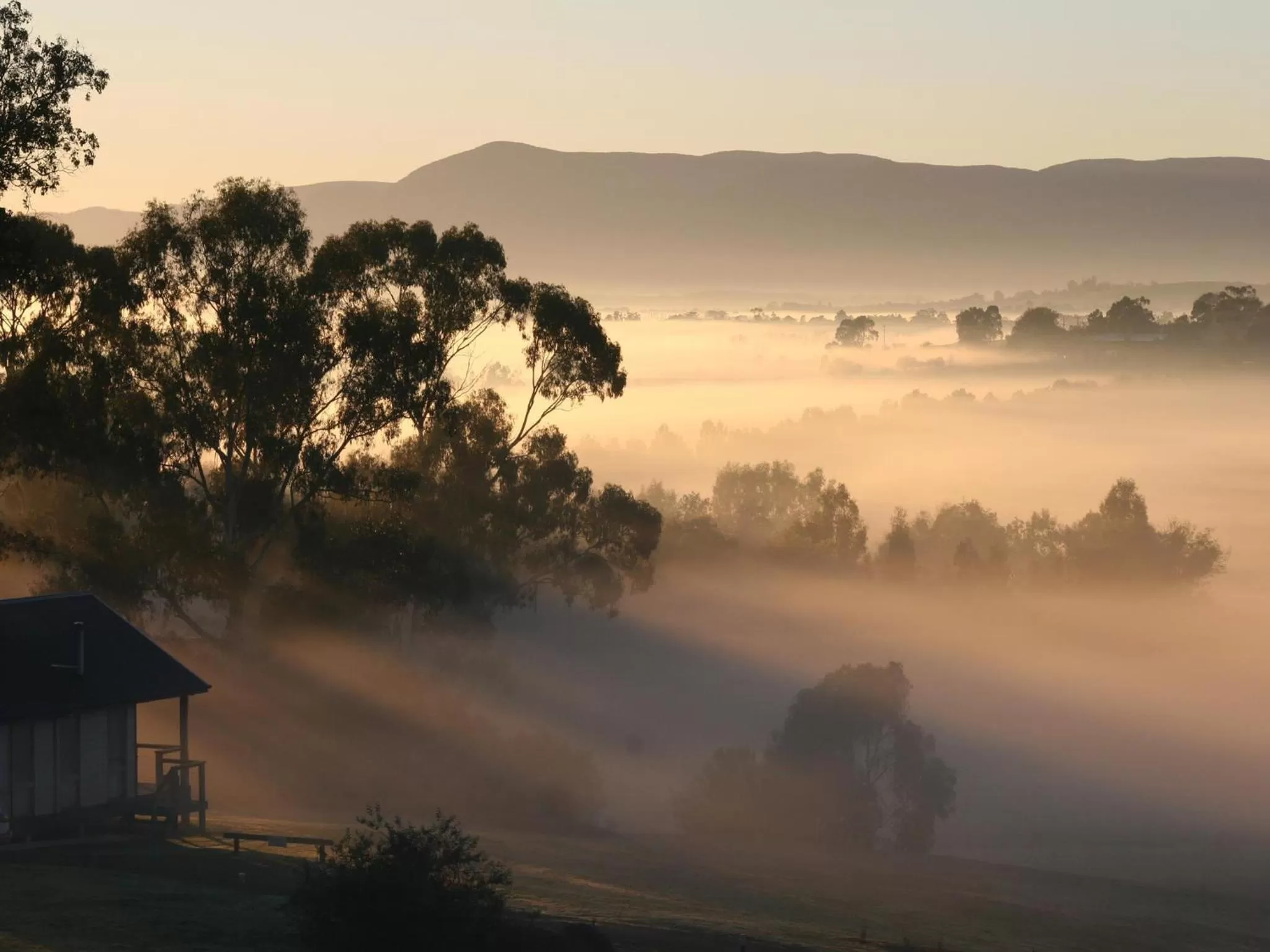 View (from property/room) in Chateau Yering