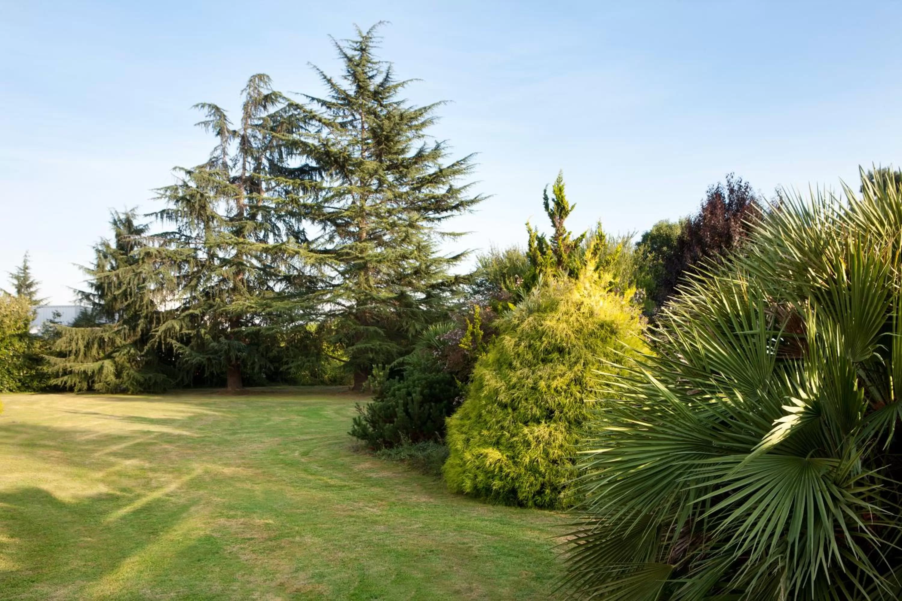 Garden in Novotel Pau Pyrénées