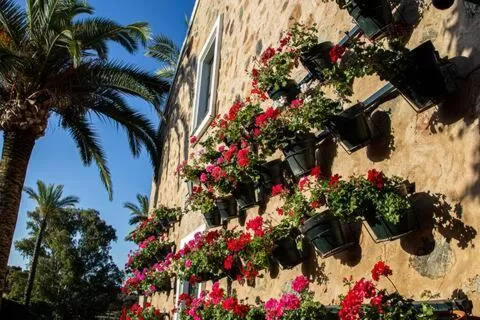 Garden in Alojamiento Rural Finca Barral