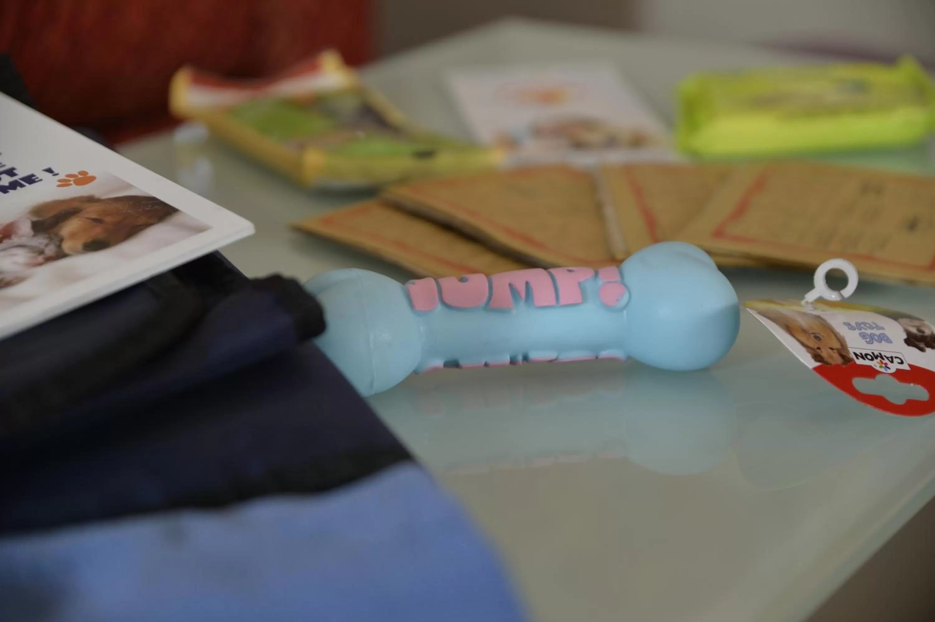 Animals in Best Western Plus Soave Hotel