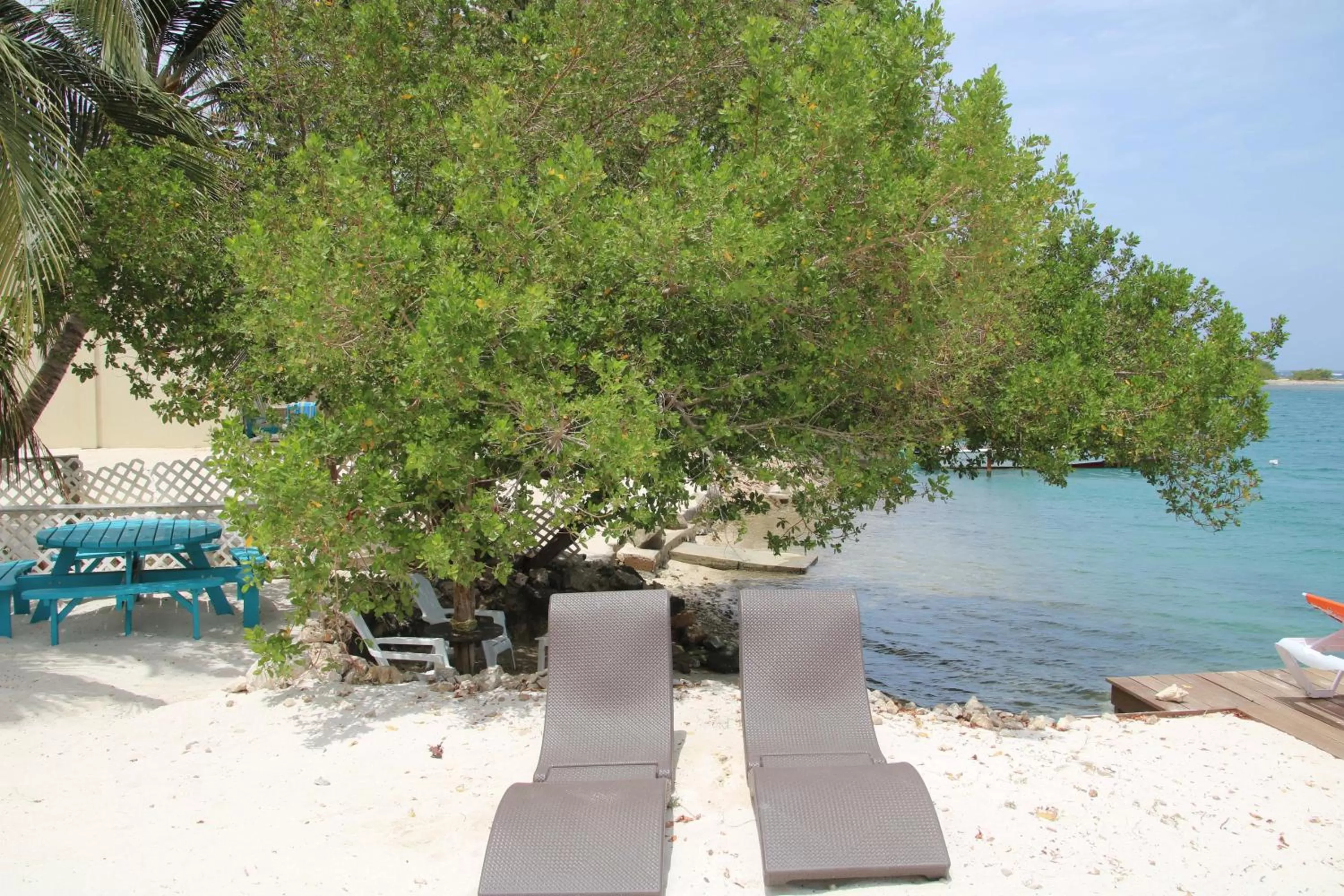 Beach in Coral Reef Beach