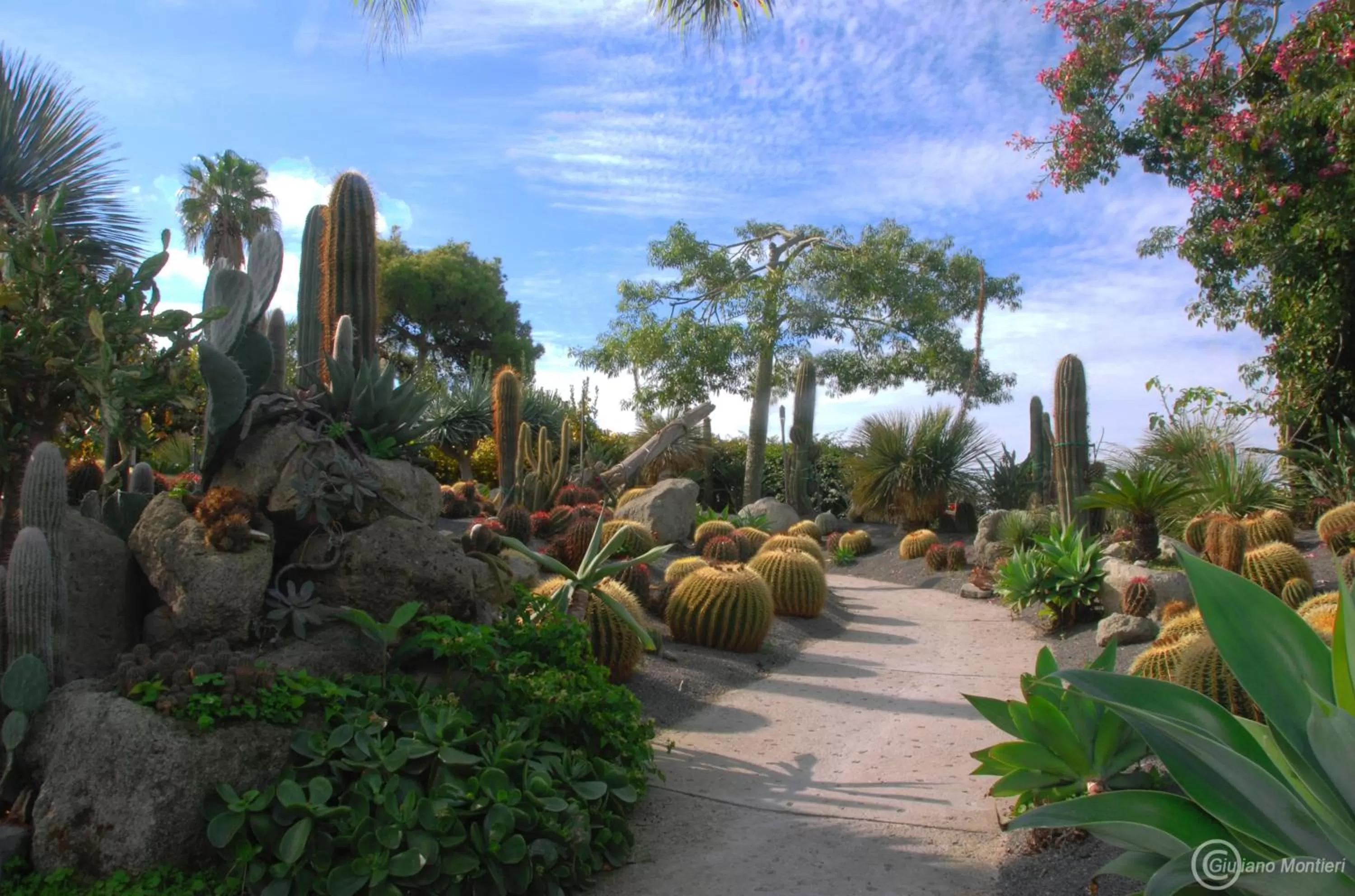 Garden, Guests in Villa Ravino Aparthotel