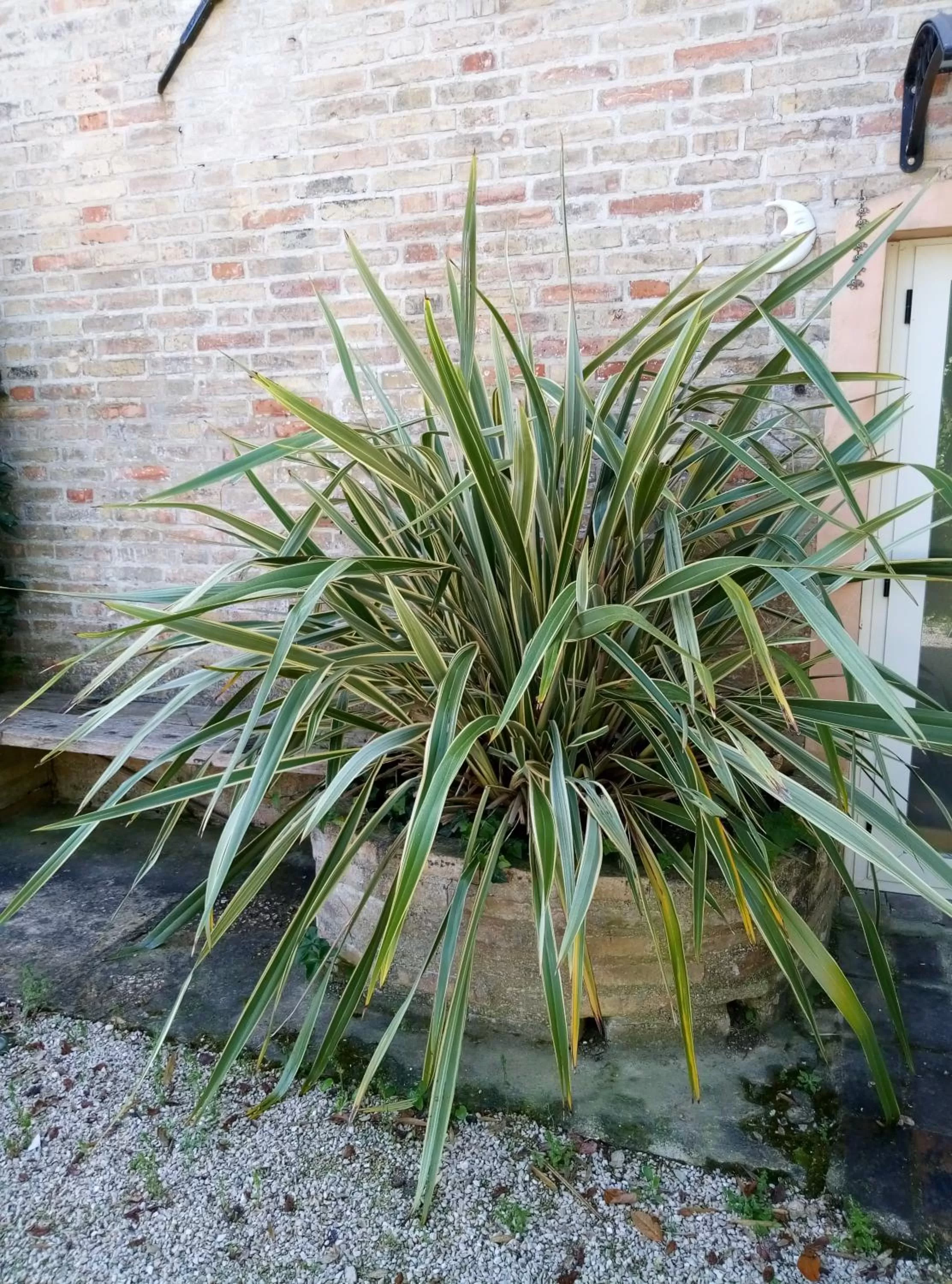 Decorative detail in La Casa di Tara B&B Armonia e Natura