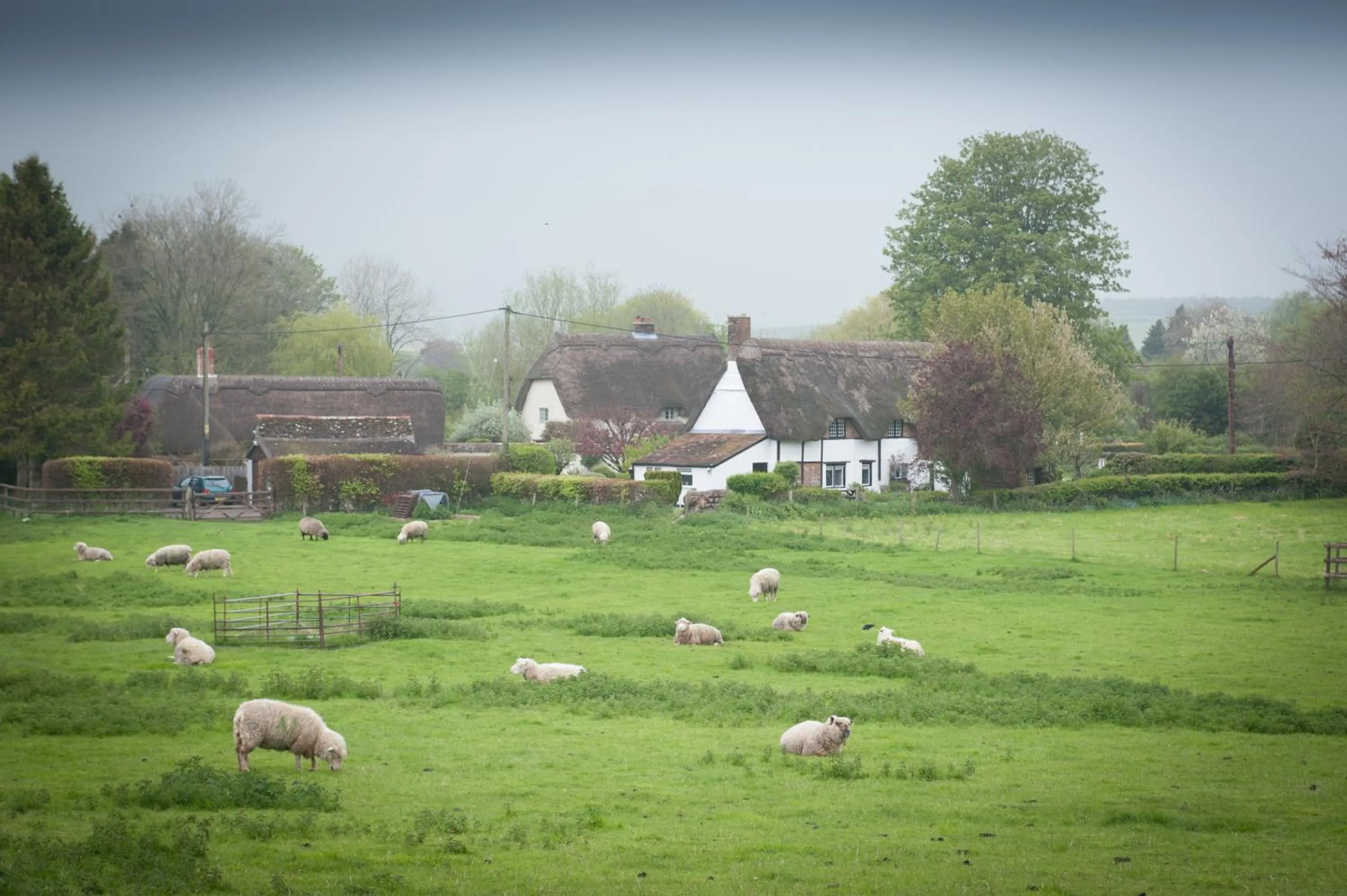 View (from property/room) in The Langton Arms