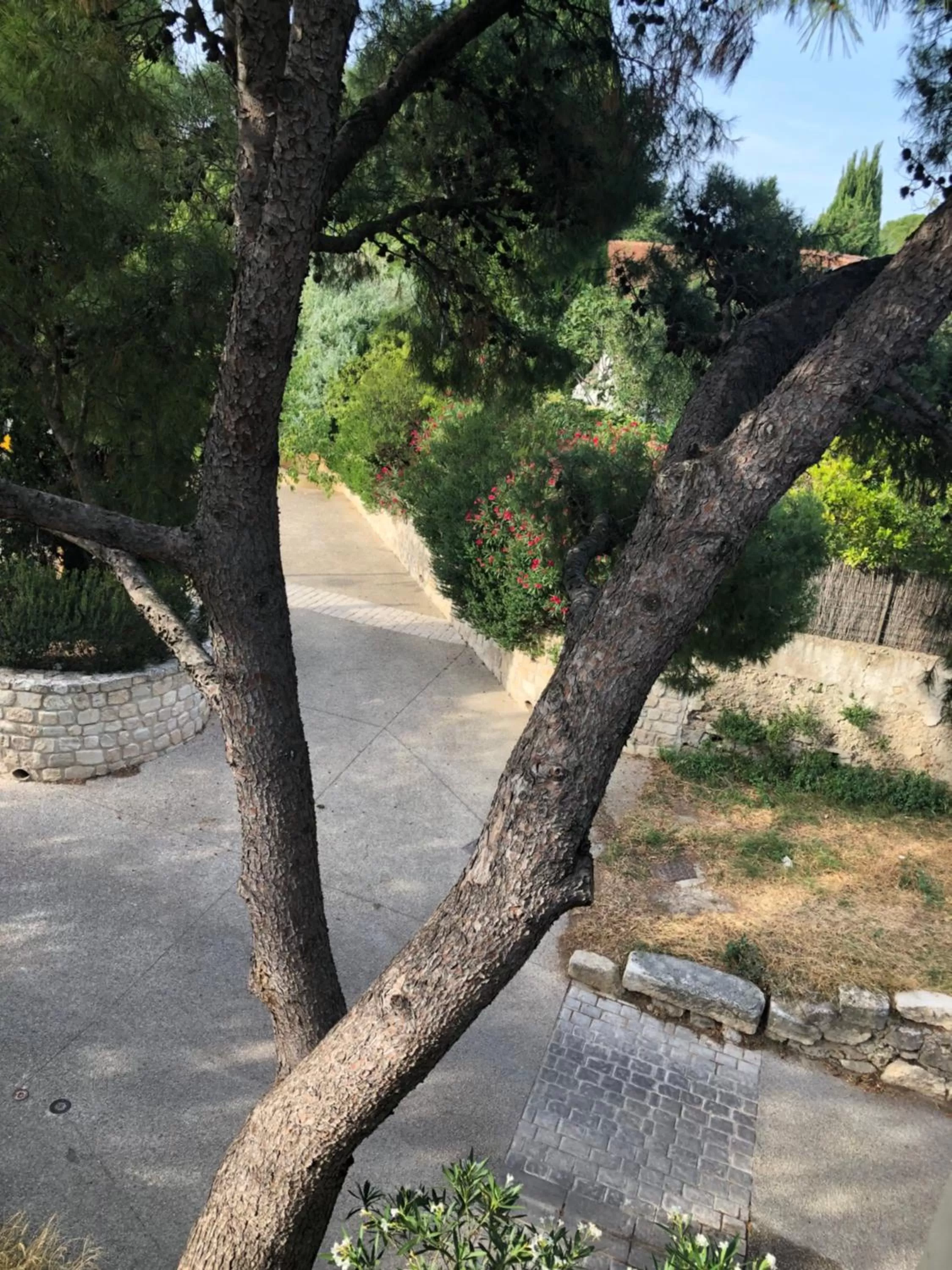 Natural landscape, Beach in Chambre d'hôtes dans une ancienne bergerie