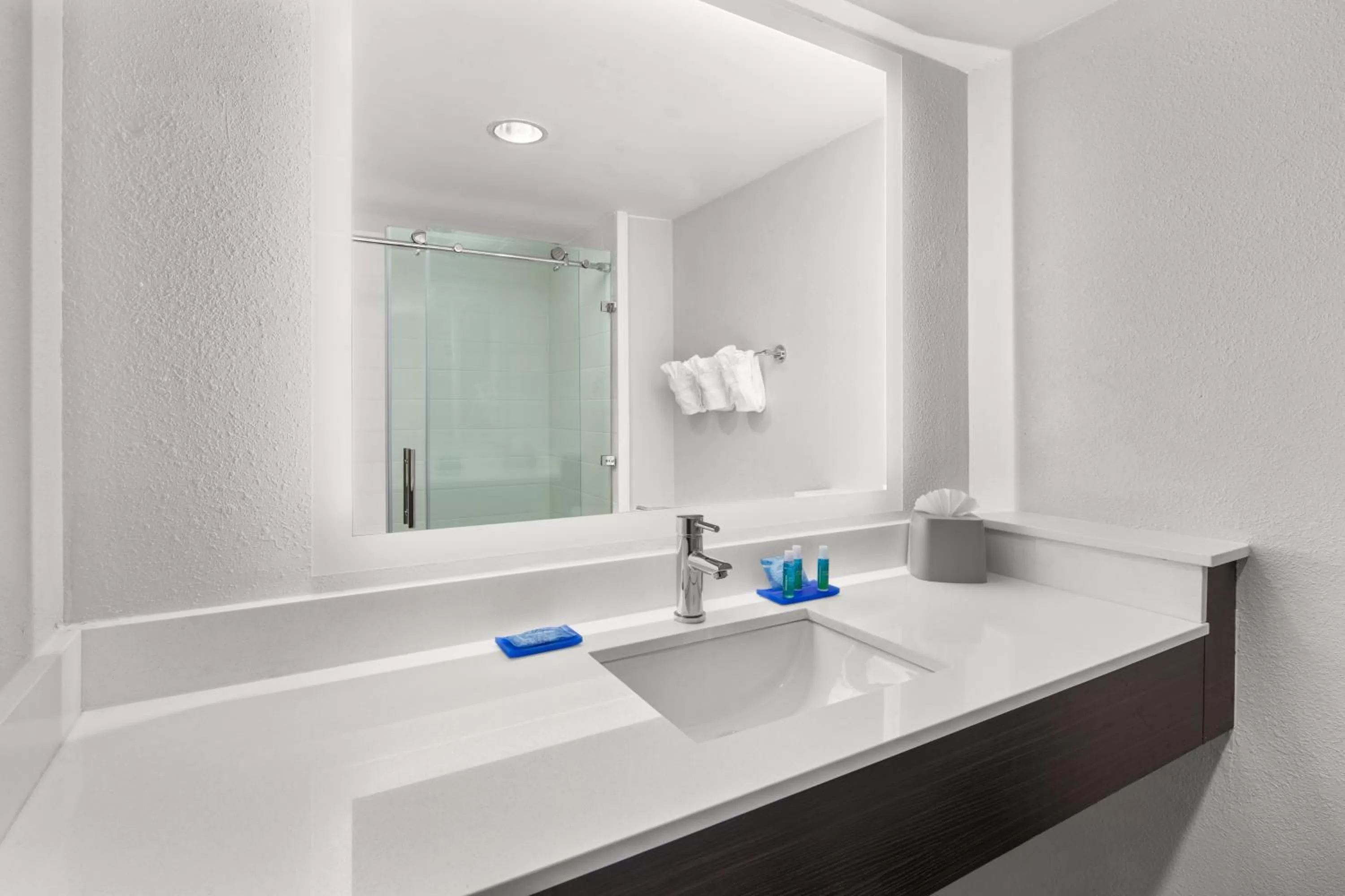Bathroom in Holiday Inn Express Hotels & Suites Greenville-Spartanburg/Duncan by IHG
