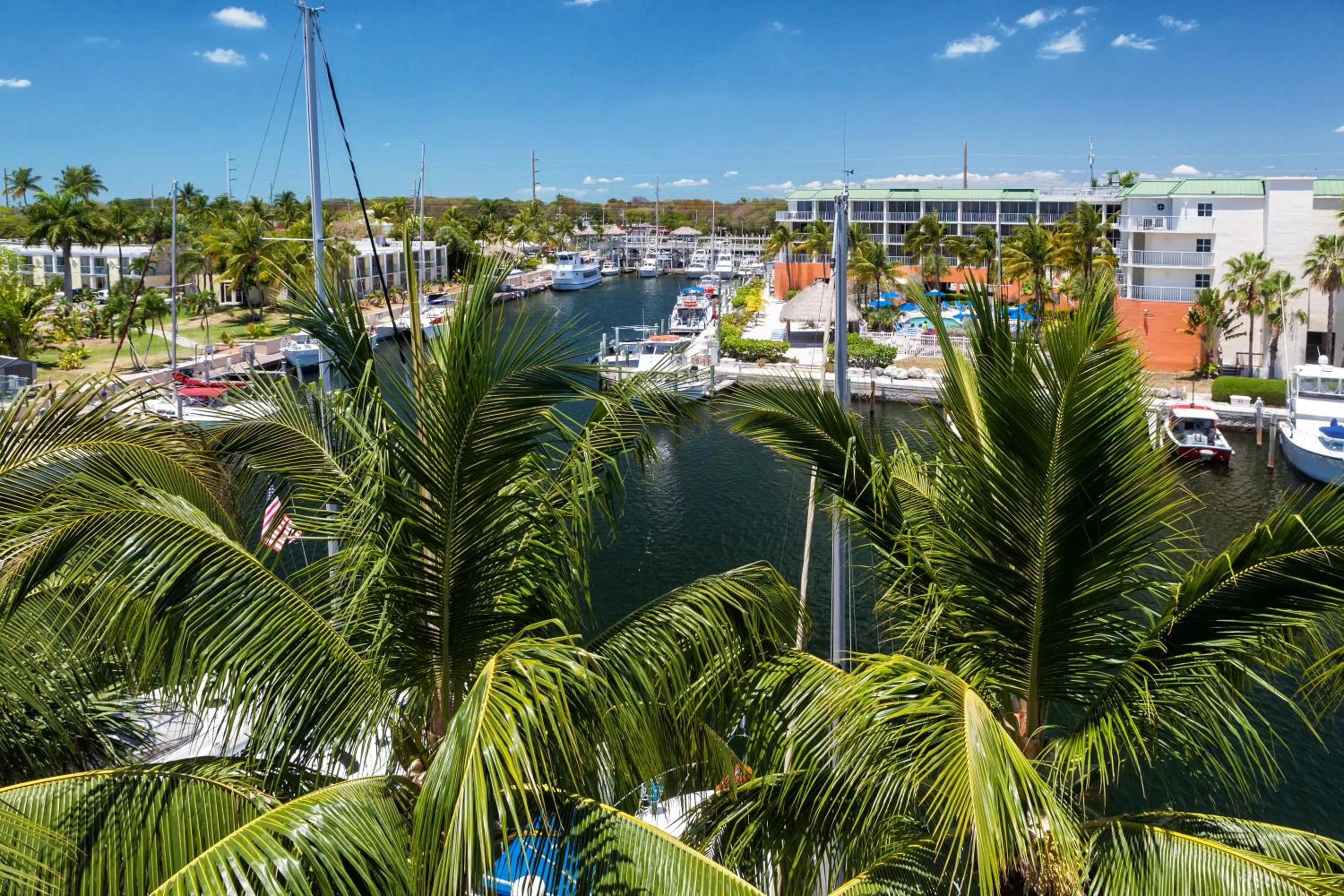 Area and facilities in Marina Del Mar Resort and Marina