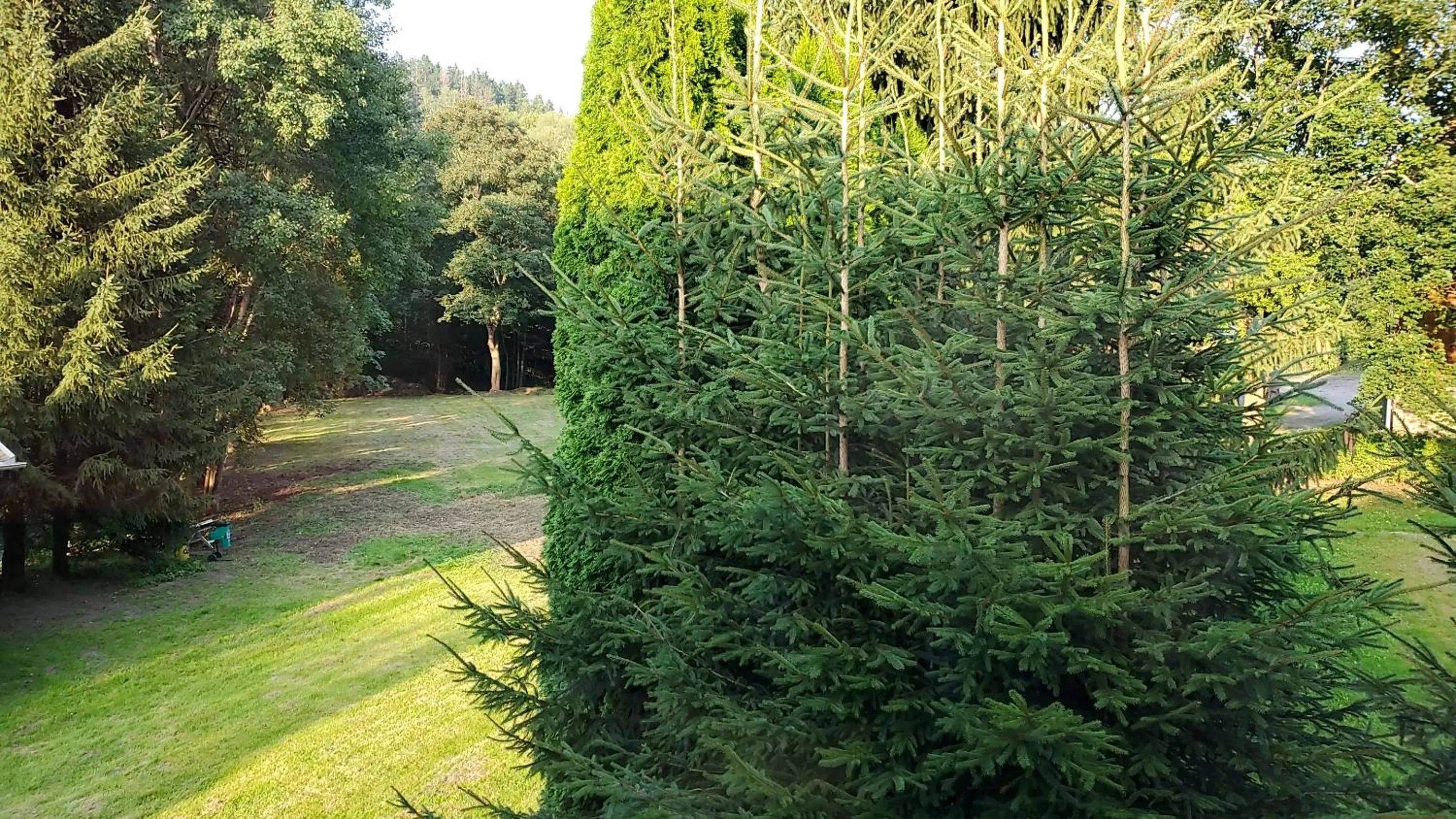 Day in Hotel Bielatal