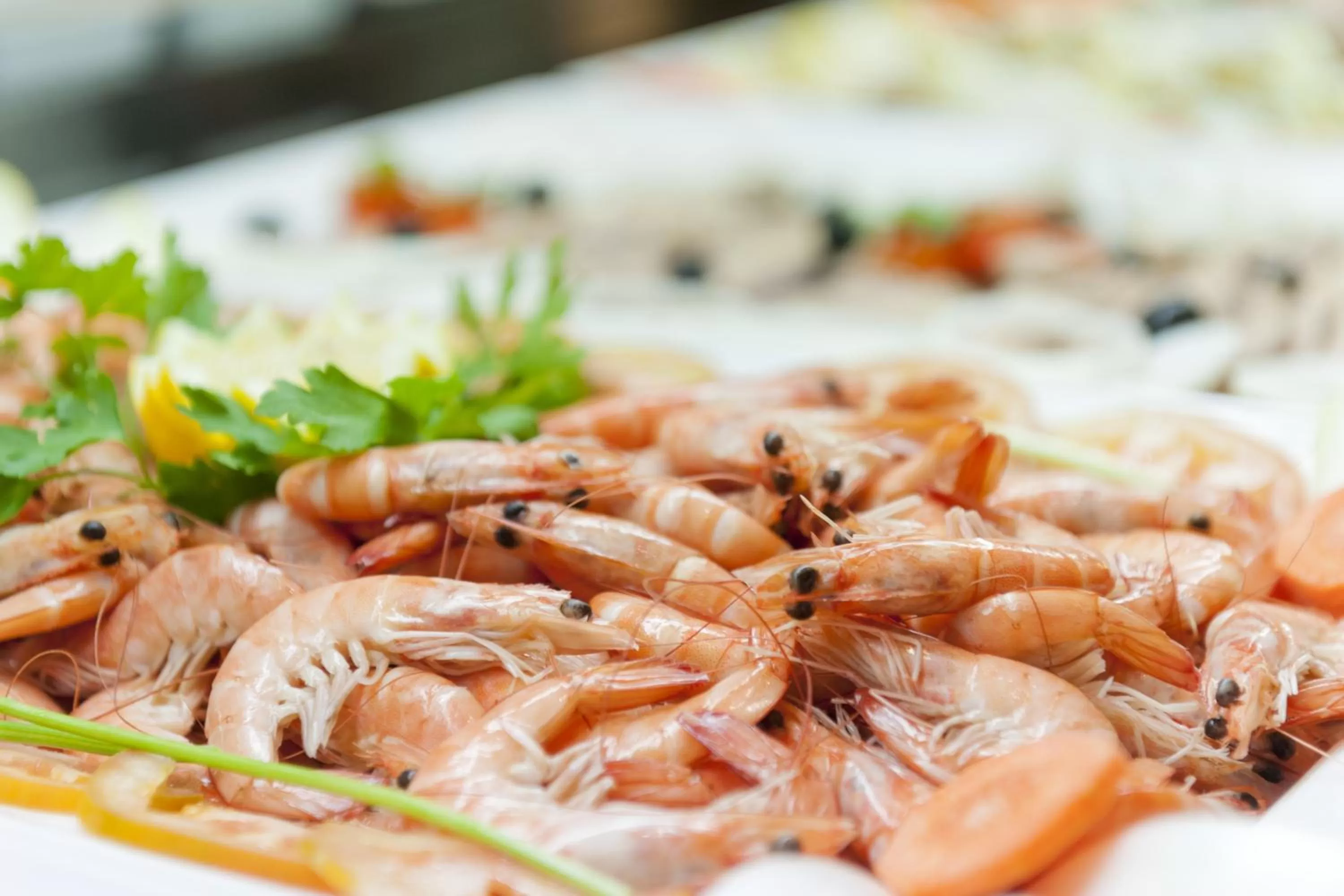 Food in Hotel Mediterraneo