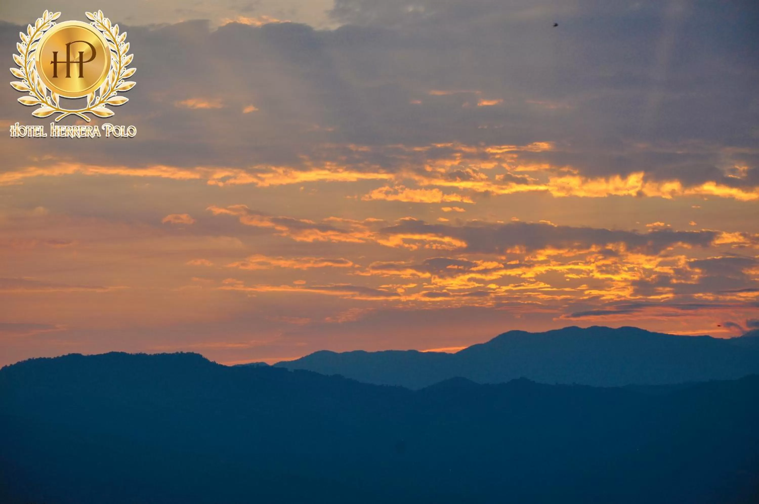Garden view in Hotel Herrera Polo