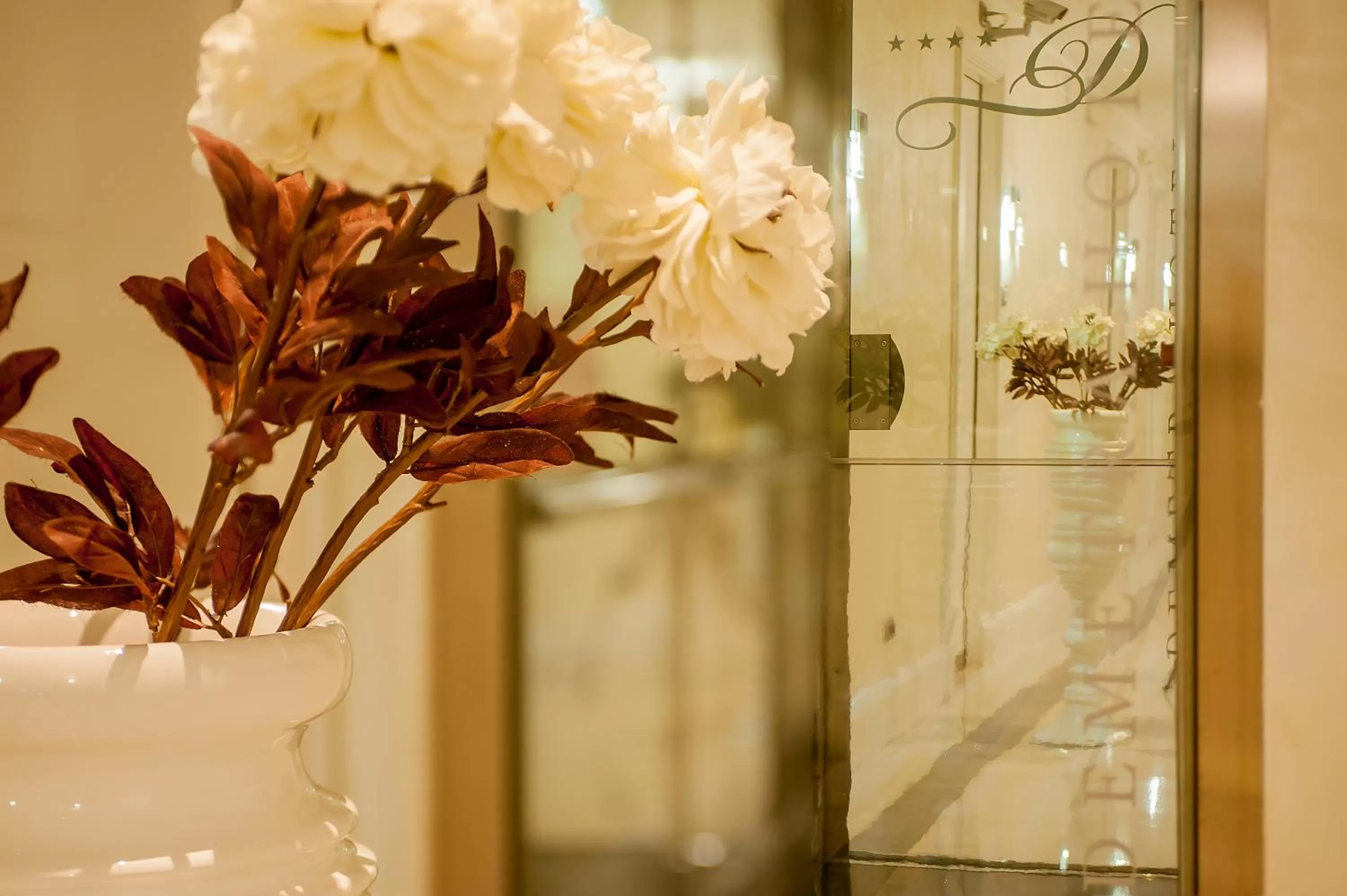 Area and facilities in Demetra Hotel