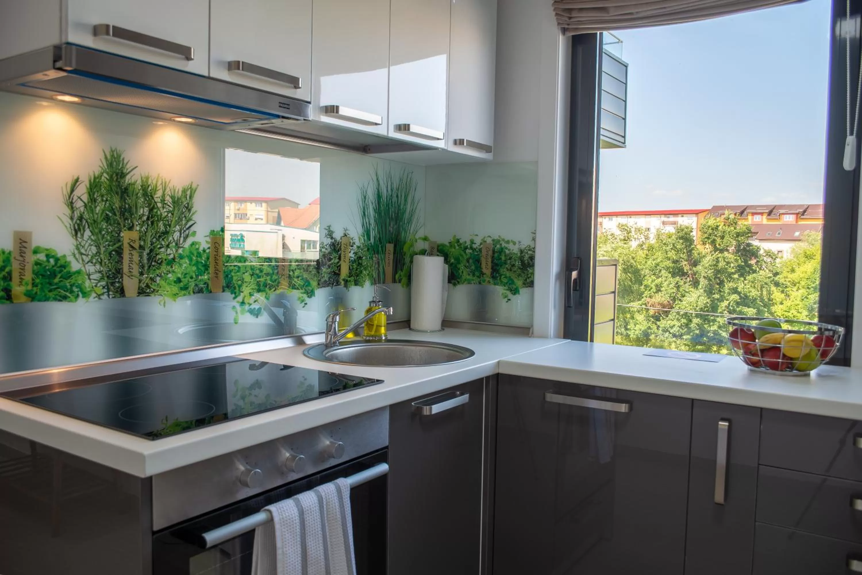 Kitchen/Kitchenette in Steel Residence