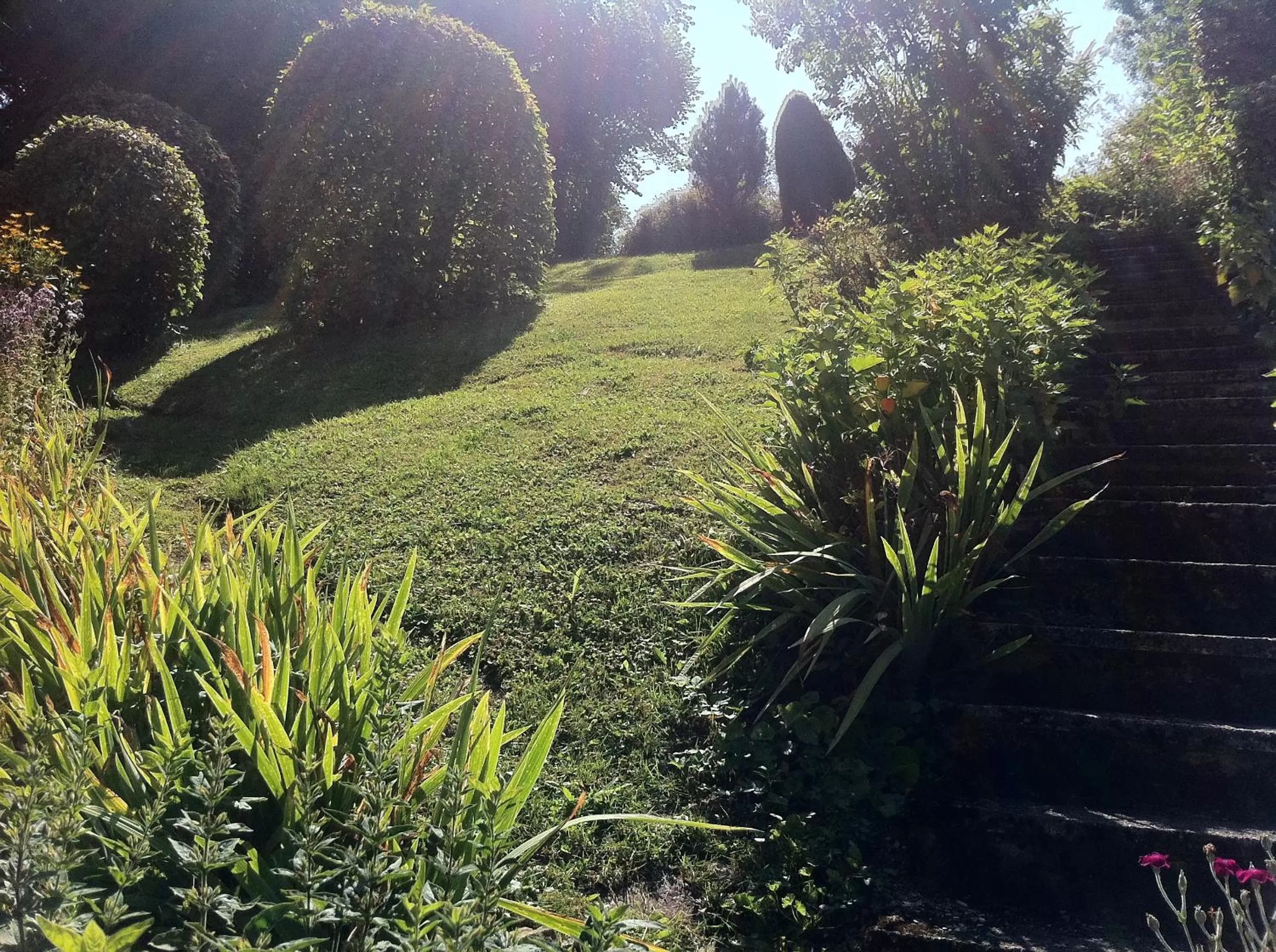 Garden in Nickhof B&B Resort