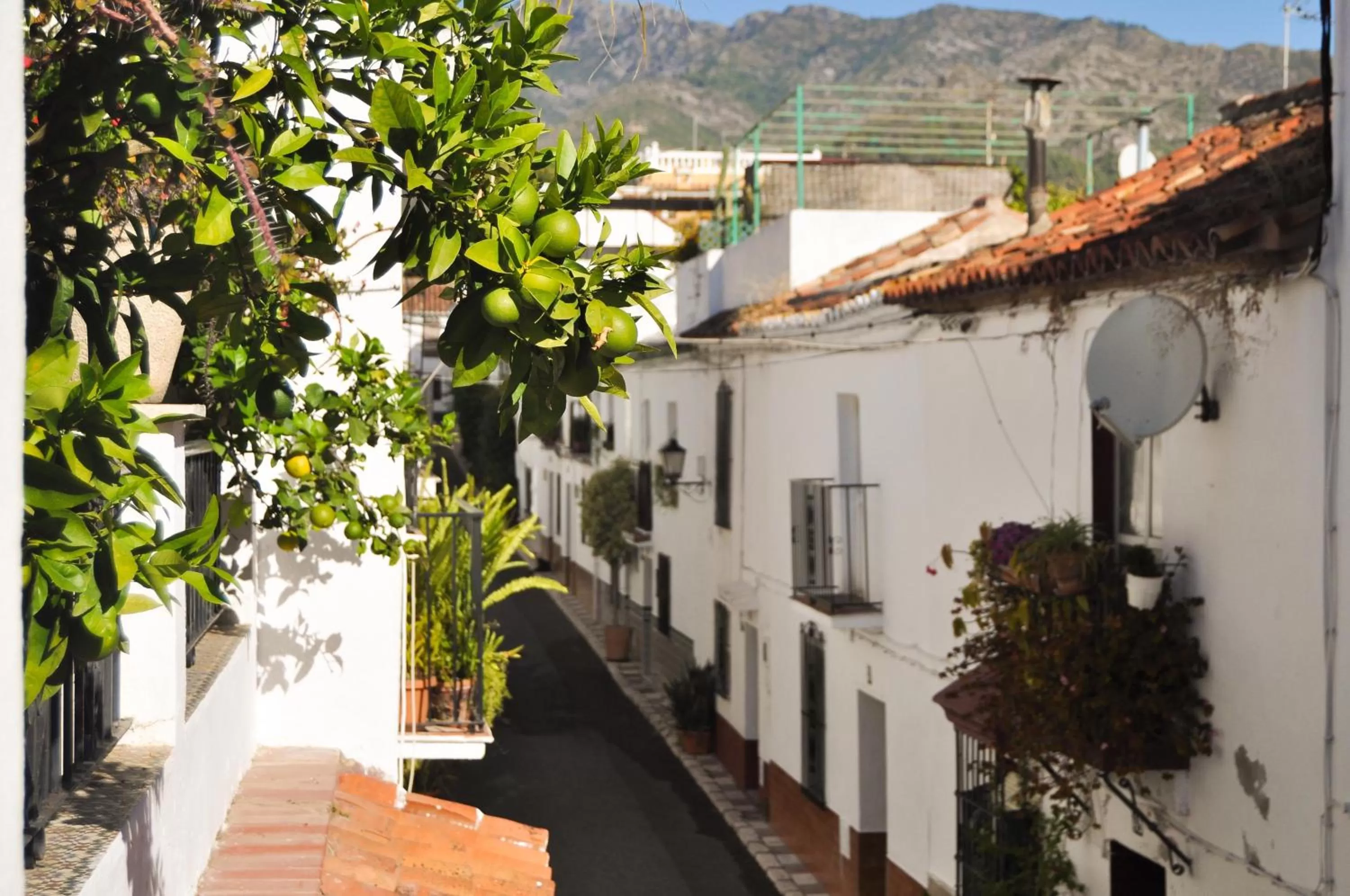 Street view in La Villa Marbella - Old Town