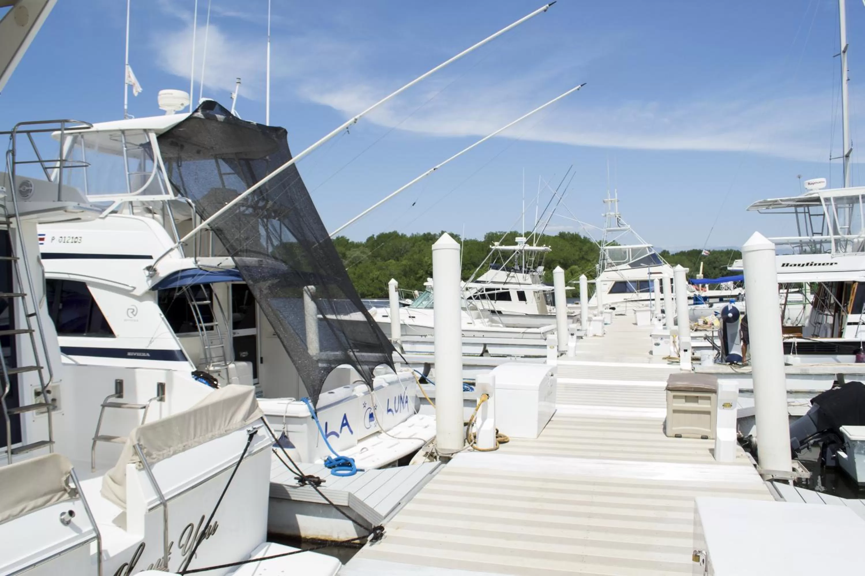 View (from property/room) in Puerto Azul Hotel