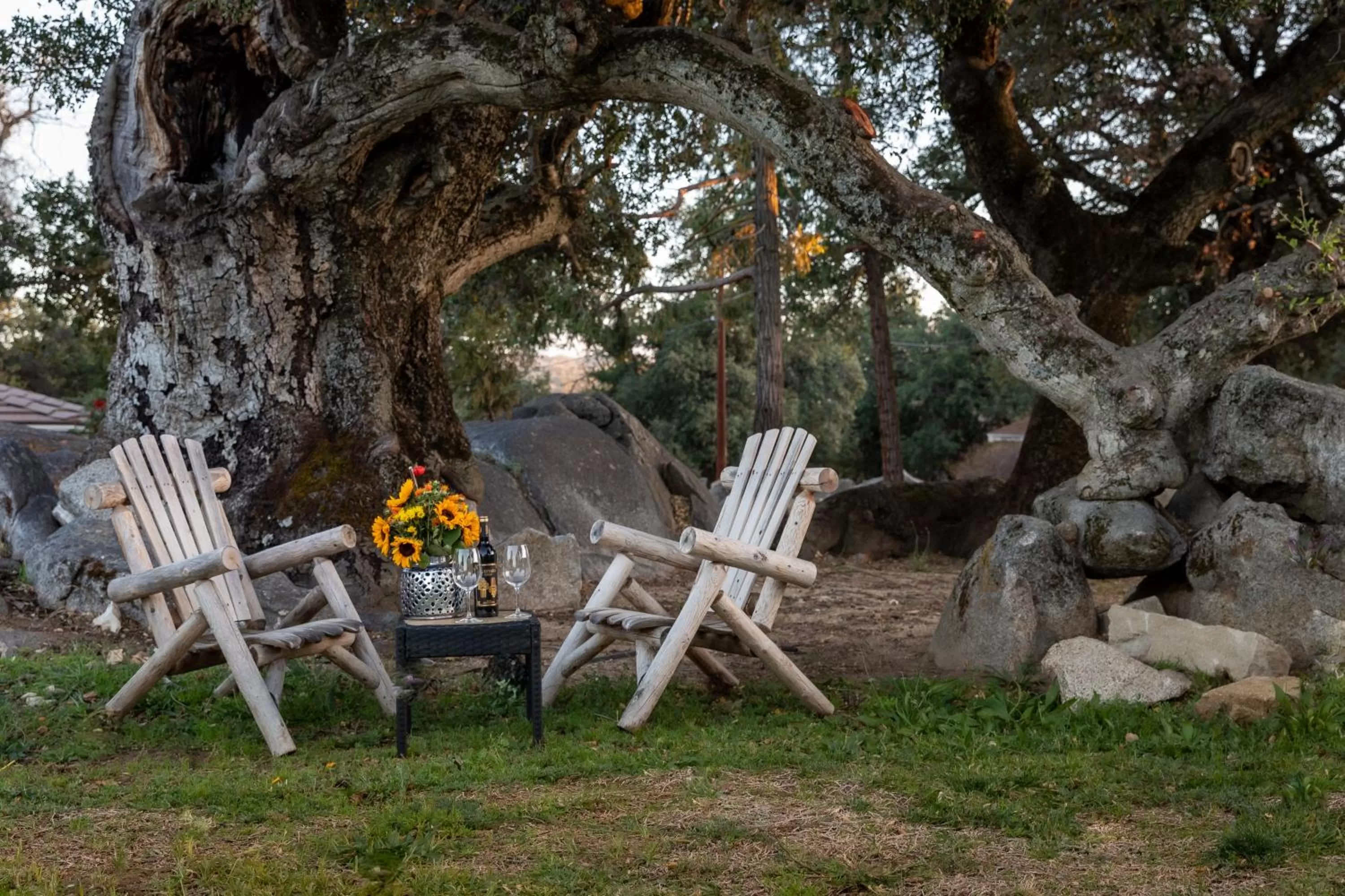 View (from property/room) in Apple Tree Inn