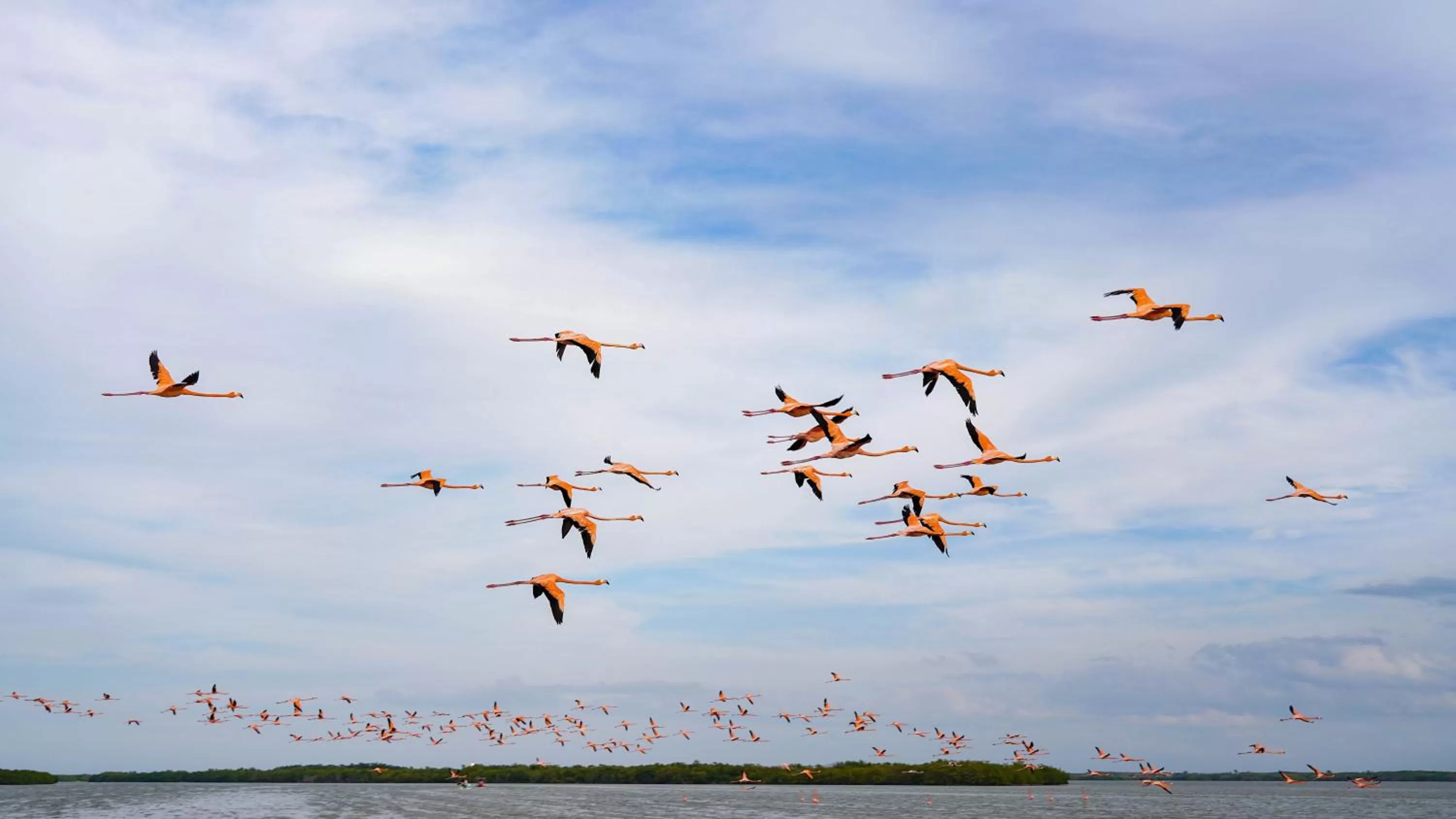 Natural landscape in Hotel Rio Lagartos