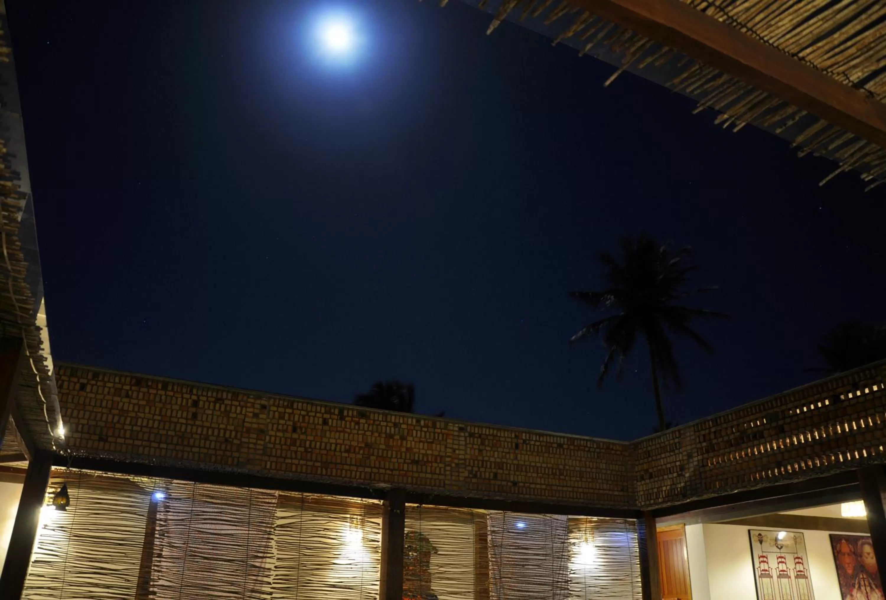 Garden, Swimming Pool in Pousada Casa de João Kitehouse