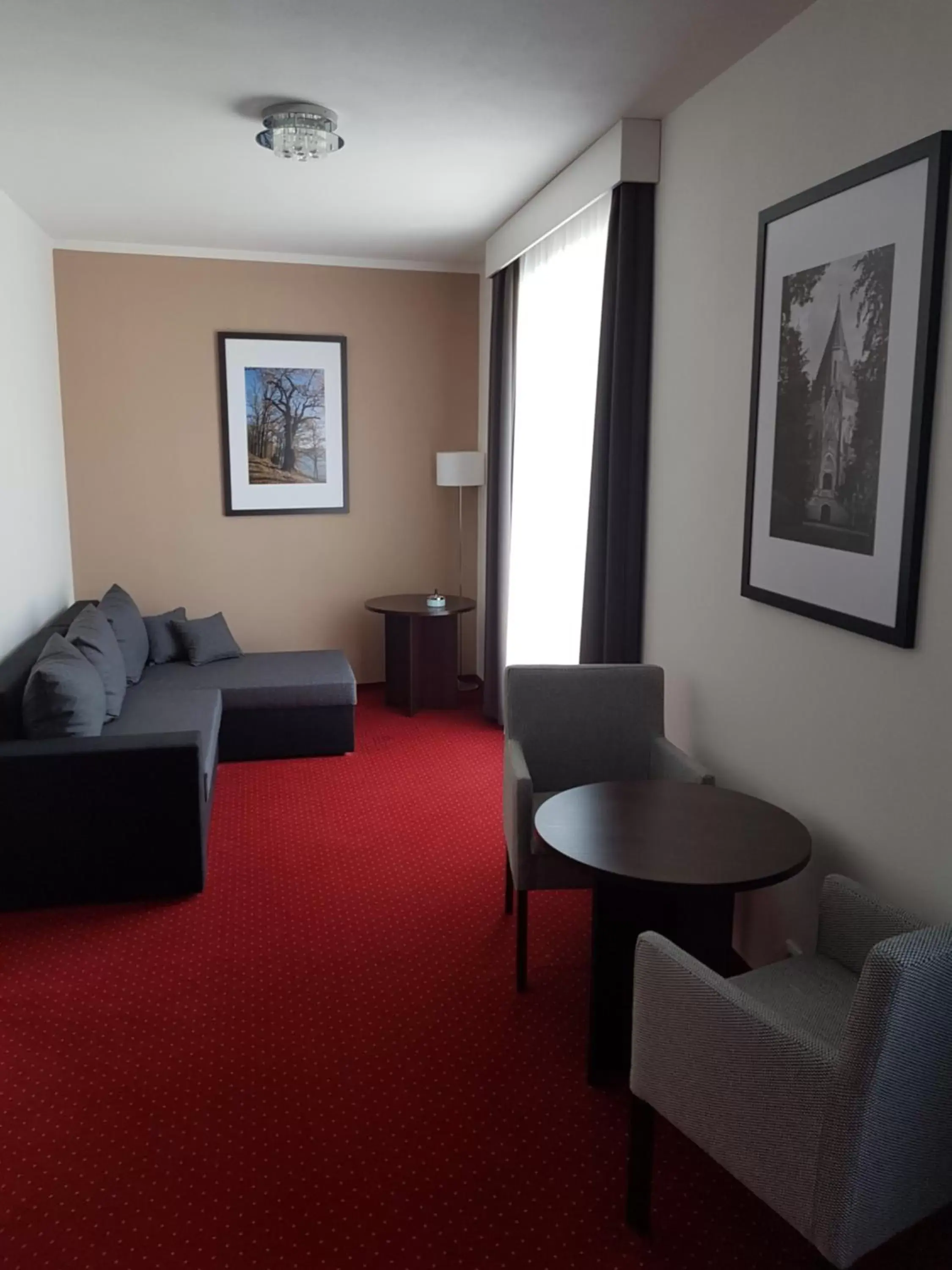 Suite in Wellness hotel Harmonie Třeboň Suite in Wellness hotel Harmonie Třeboň