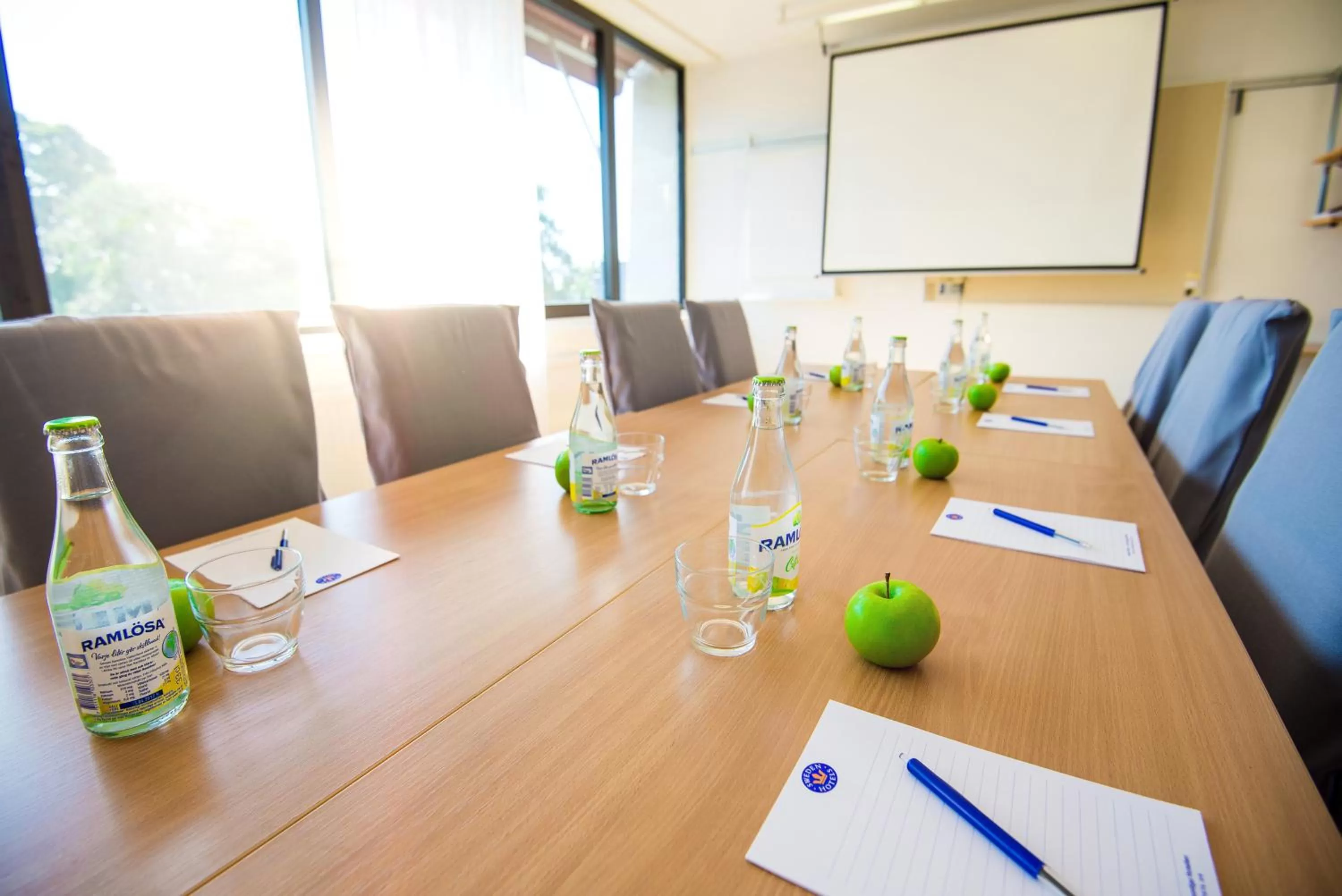 Business facilities in Hotel Bellevue