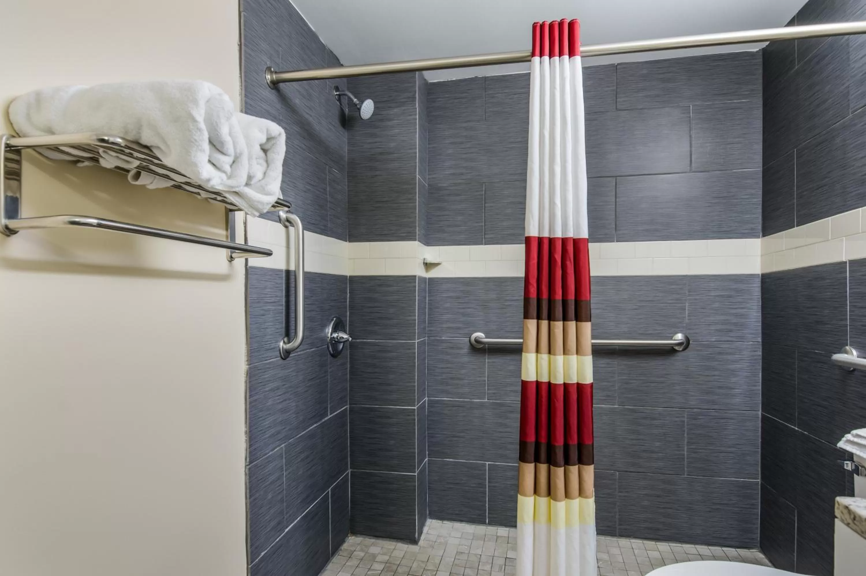 Bathroom in Red Roof Inn Madison Heights, VA