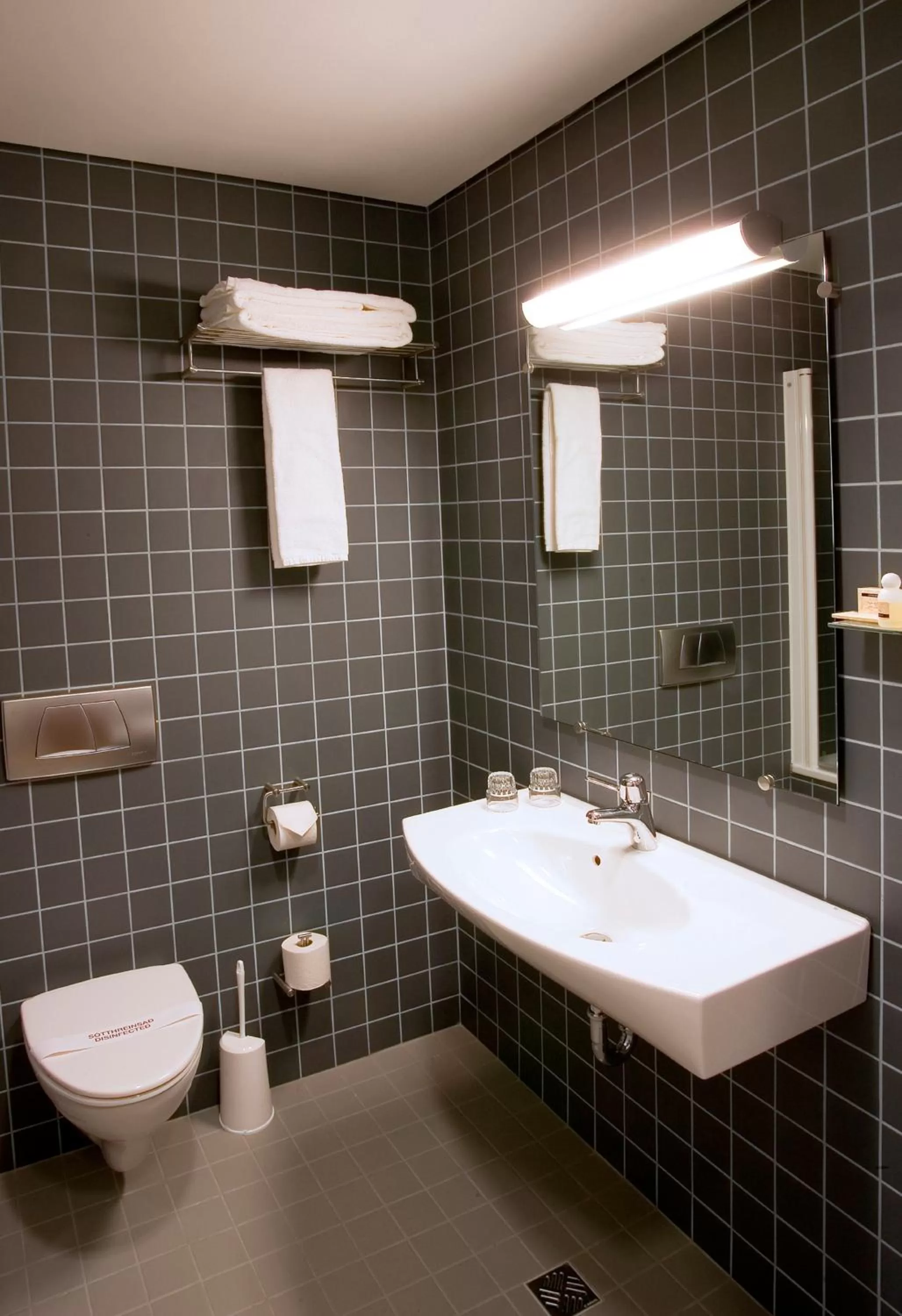Toilet in Hotel Reykjavík Centrum