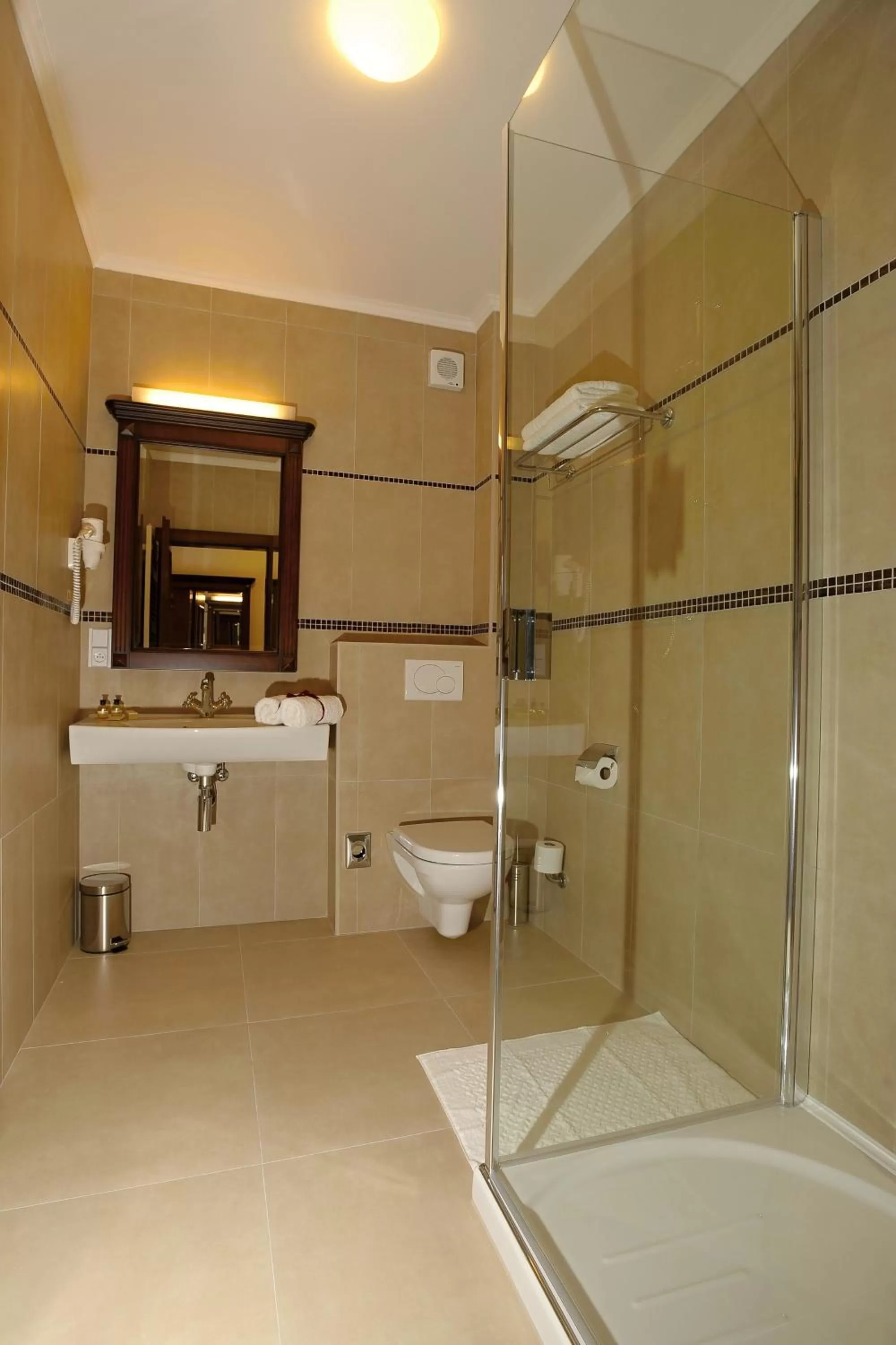 Bathroom in Hotel U Krále