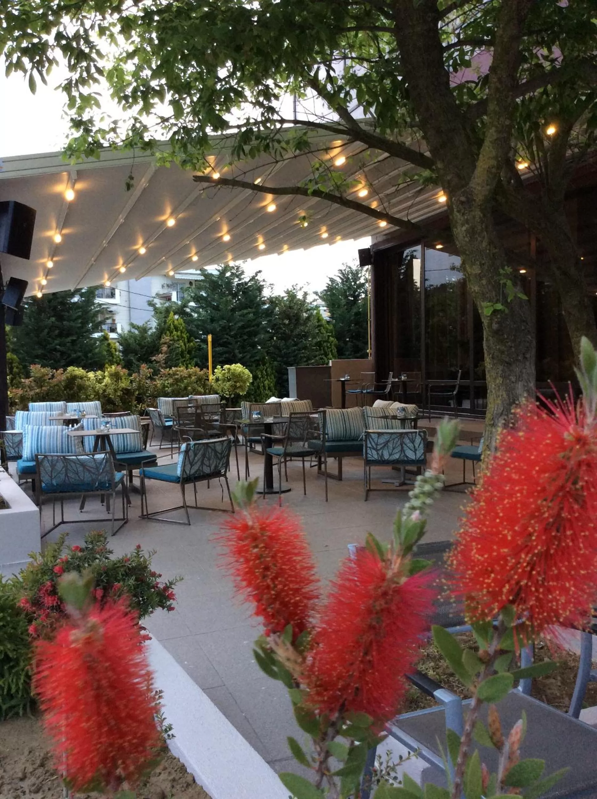 Garden in Philippos Xenia Hotel