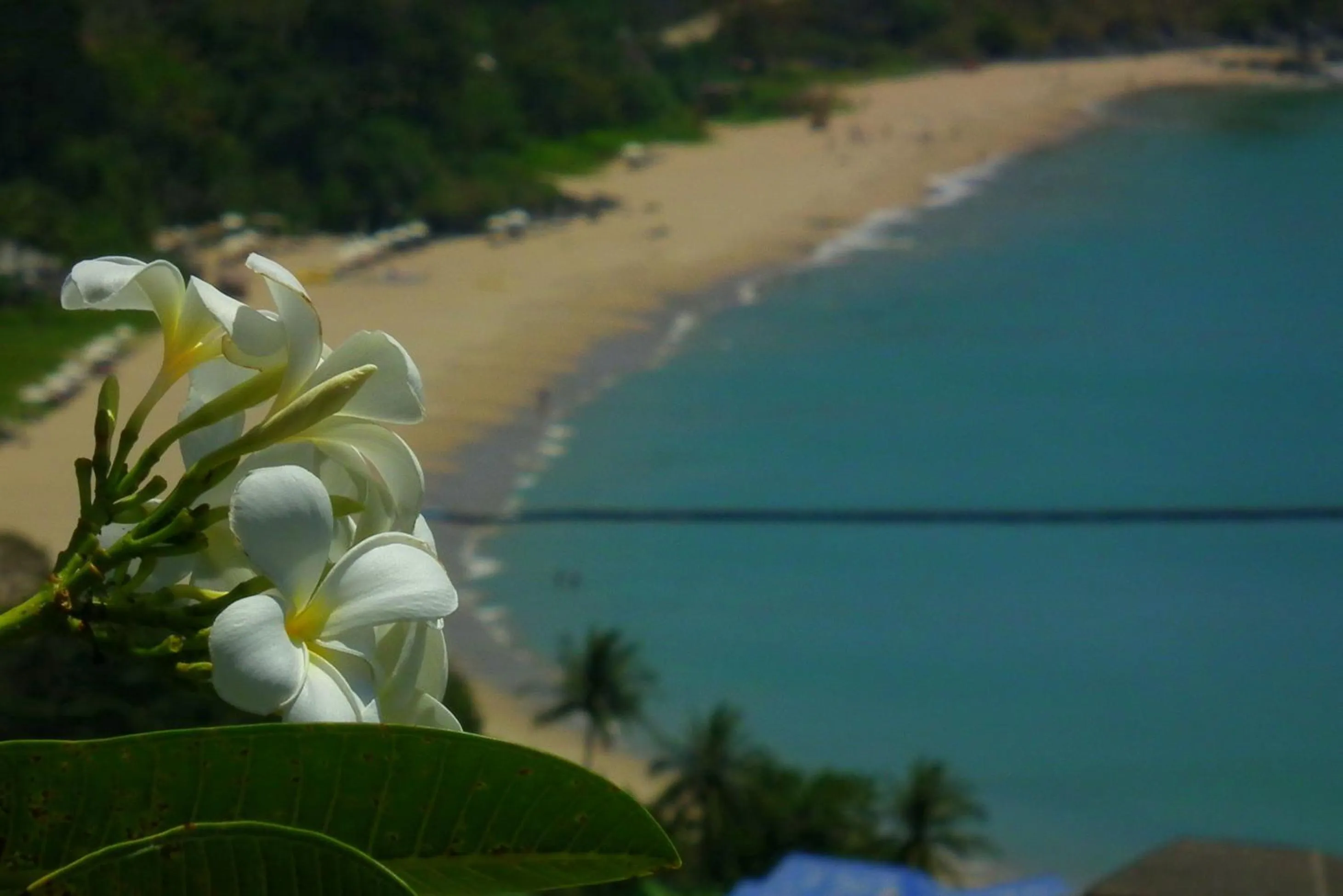 Sea view in Baan KanTiang See Villas - SHA Extra Plus