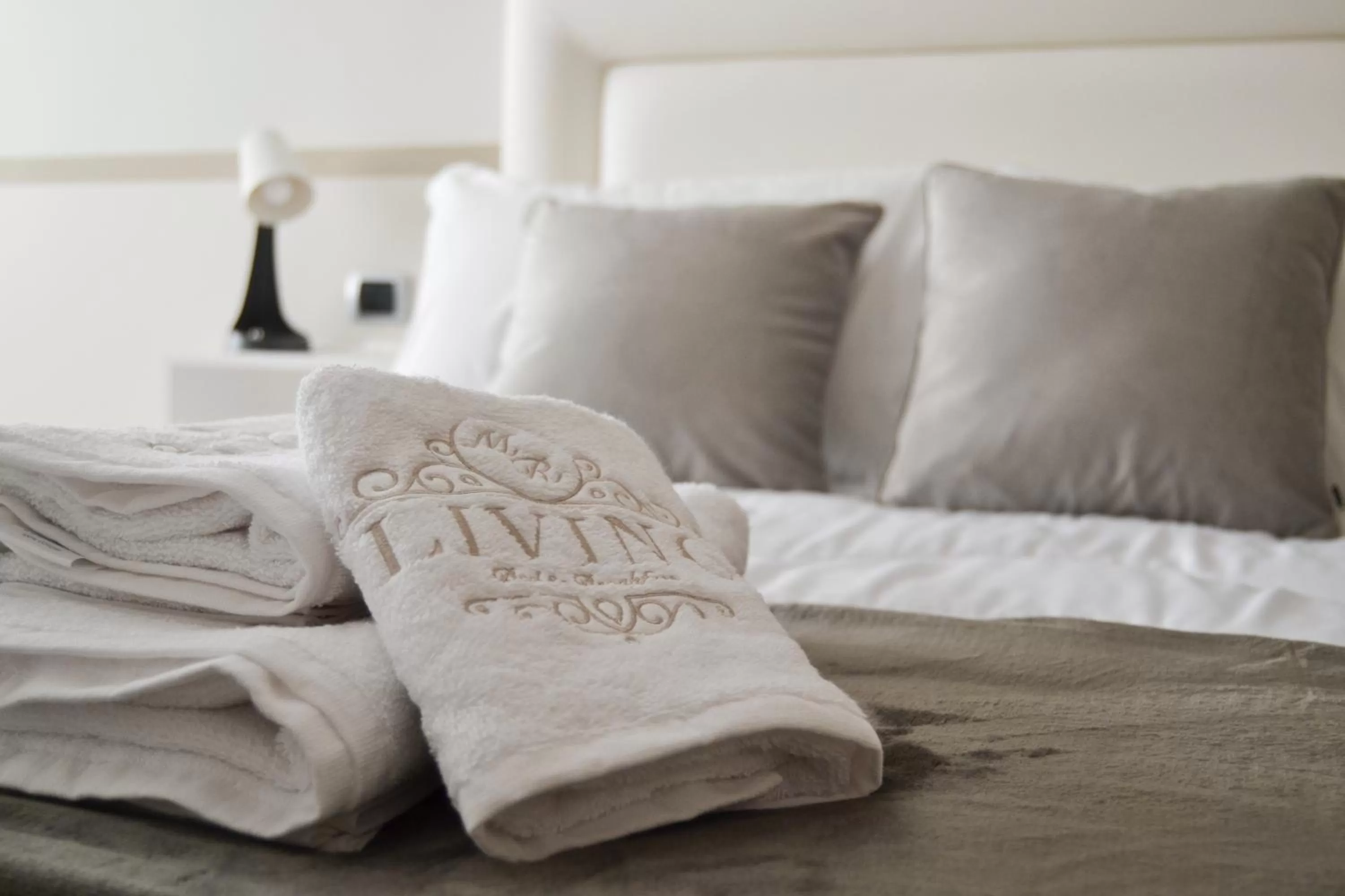 MR Living Bed & Breakfast