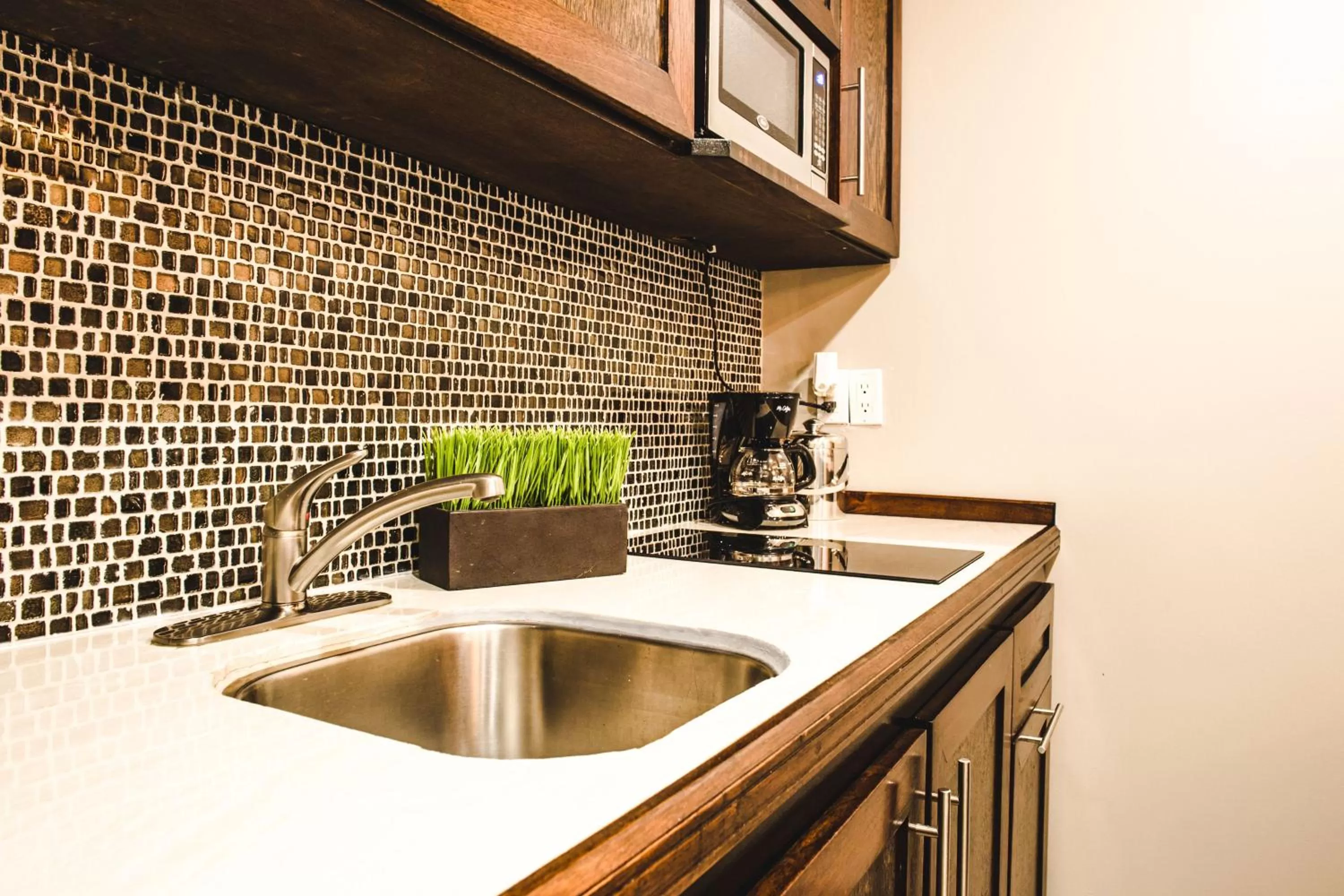 Kitchen or kitchenette in Barefoot Caye Caulker Hotel