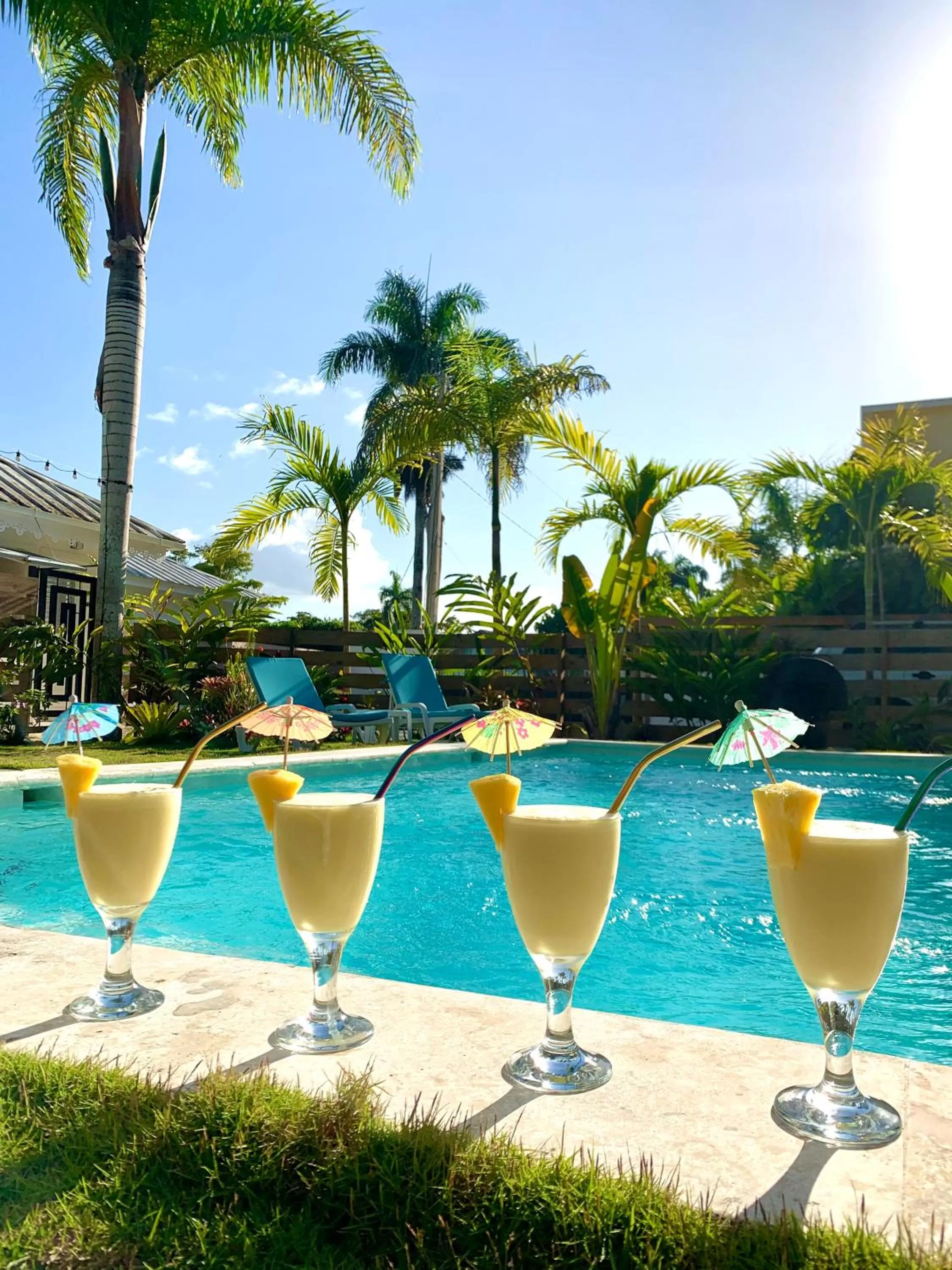 Alcoholic drinks in PUNTA POPY BOUTIQUE HOTEL - Adults Only