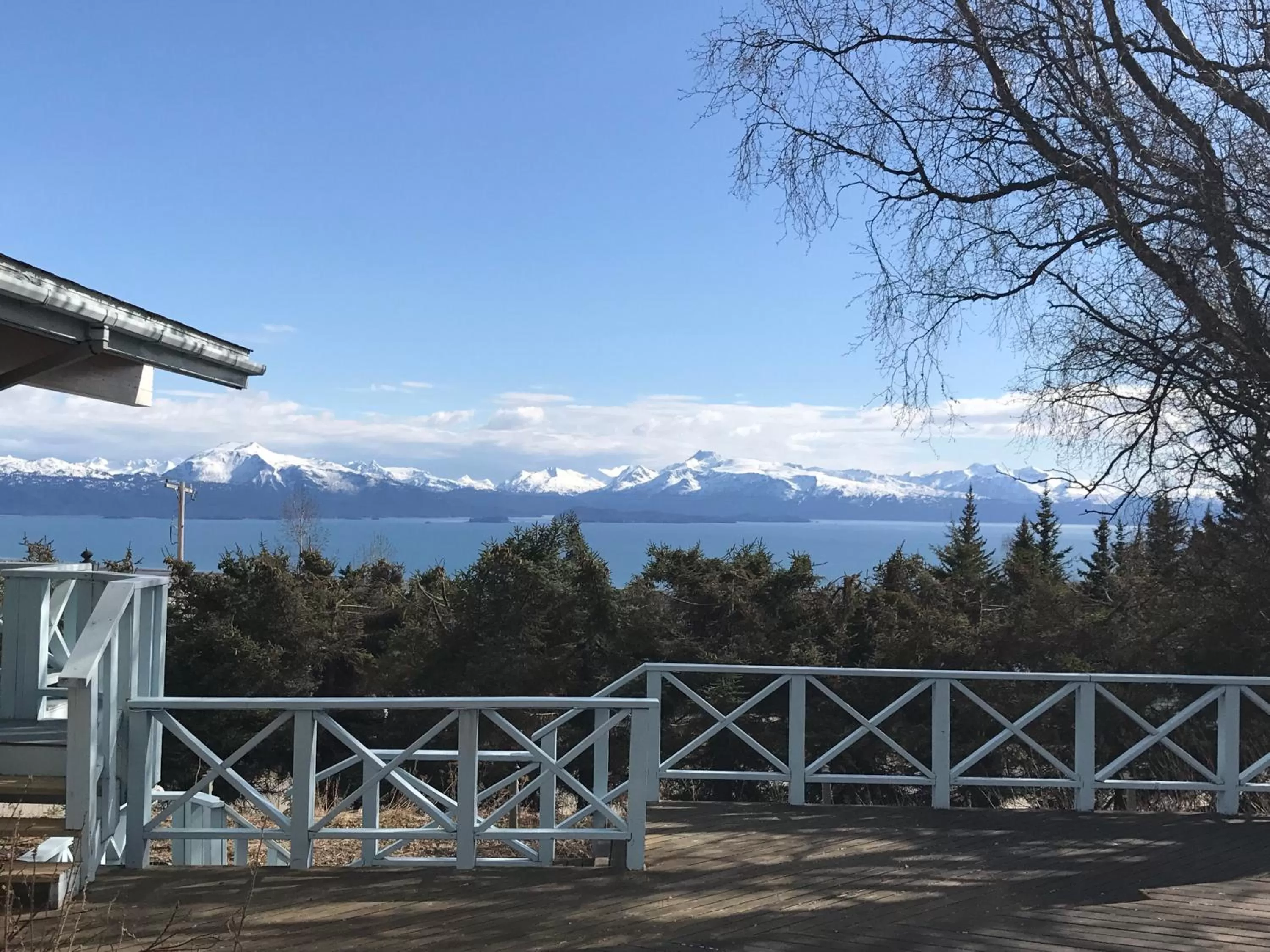 Mountain View in Halcyon Heights B&B/Inn