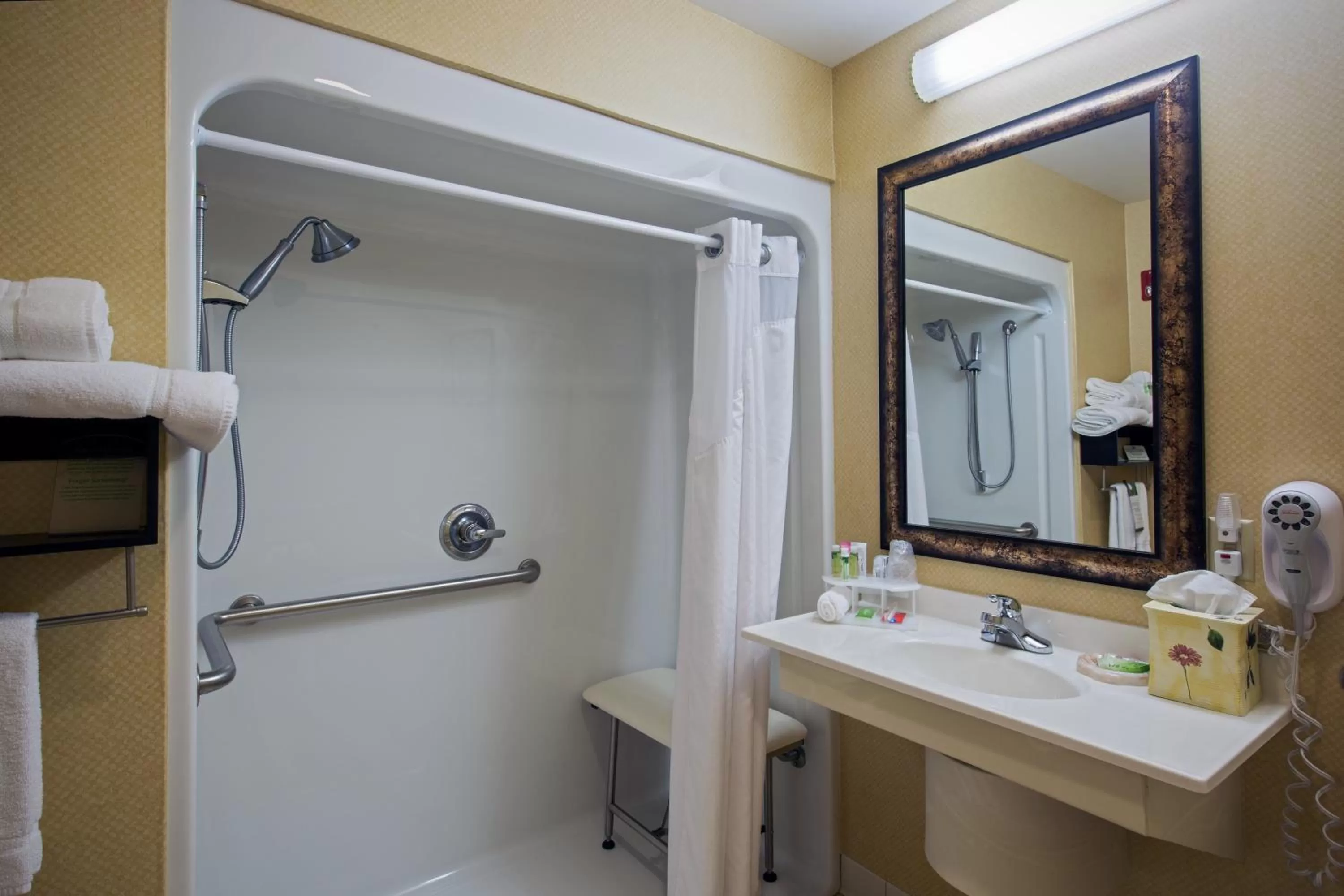 Bathroom in Holiday Inn Express Hotel & Suites Youngstown North-Warren/Niles by IHG