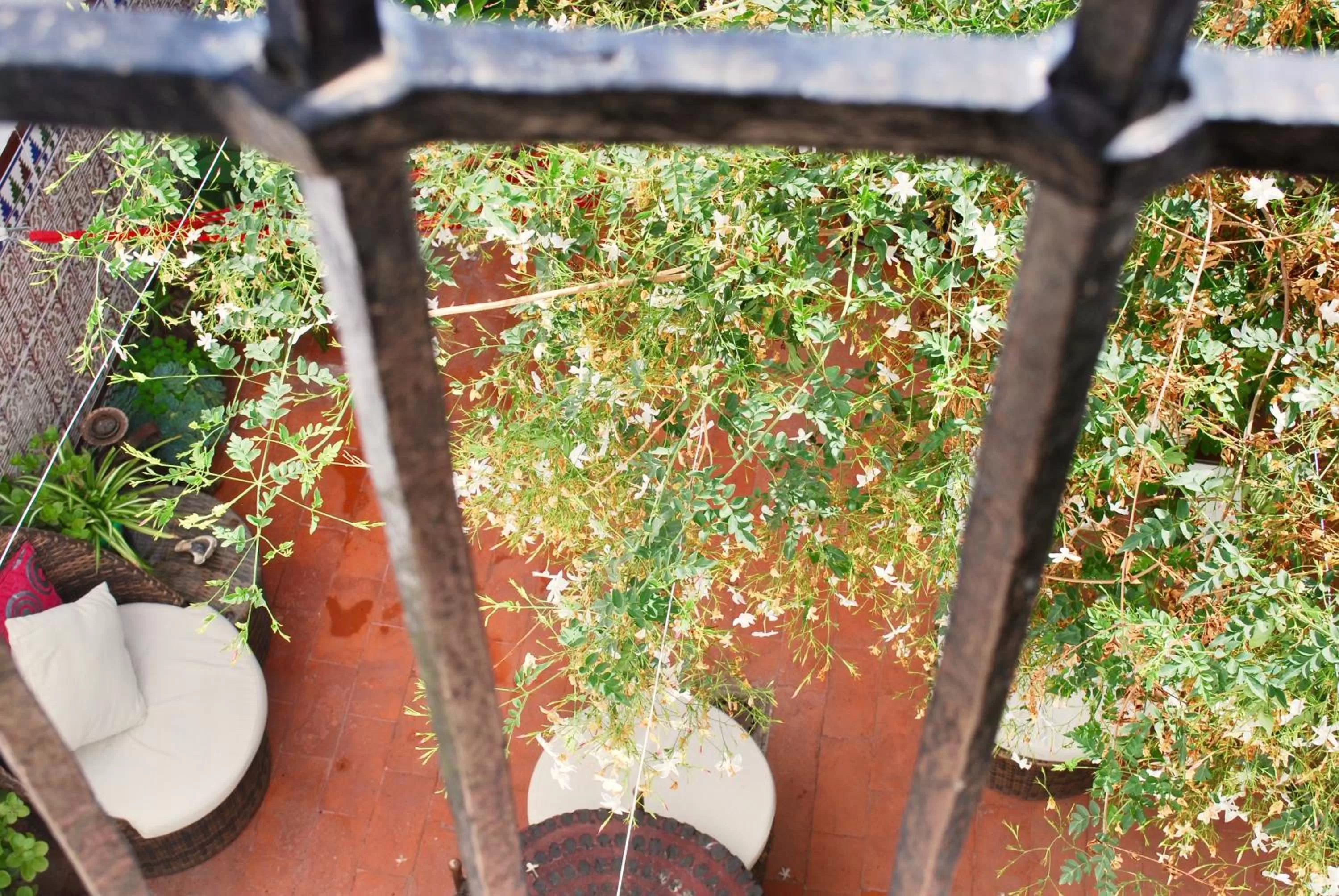 Inner courtyard view in Backpacker Al-Katre