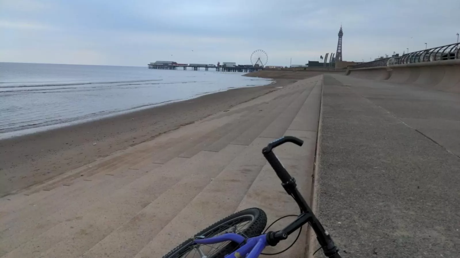 The Winter Garden Suites