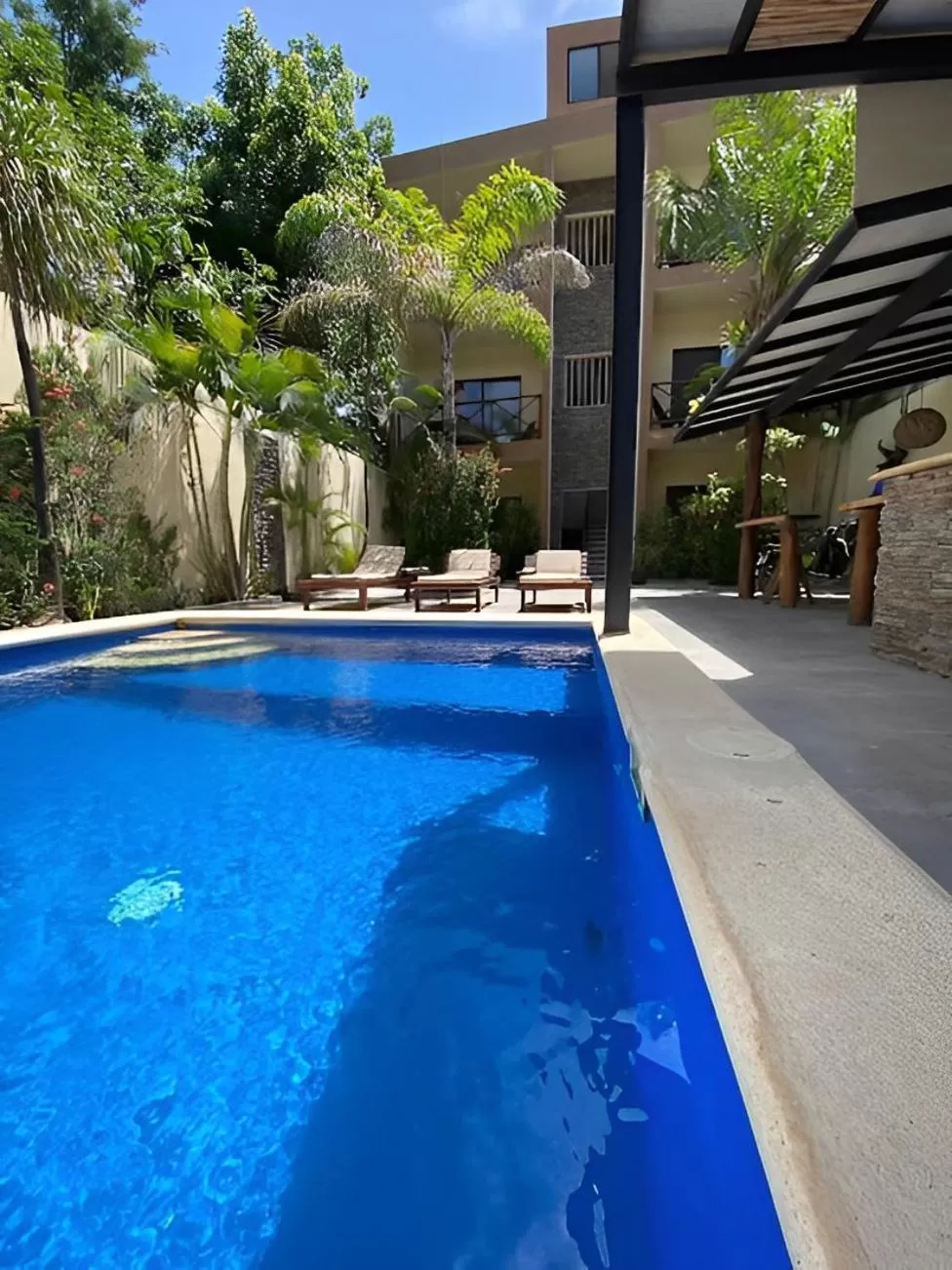 Swimming Pool in Basic Tulum