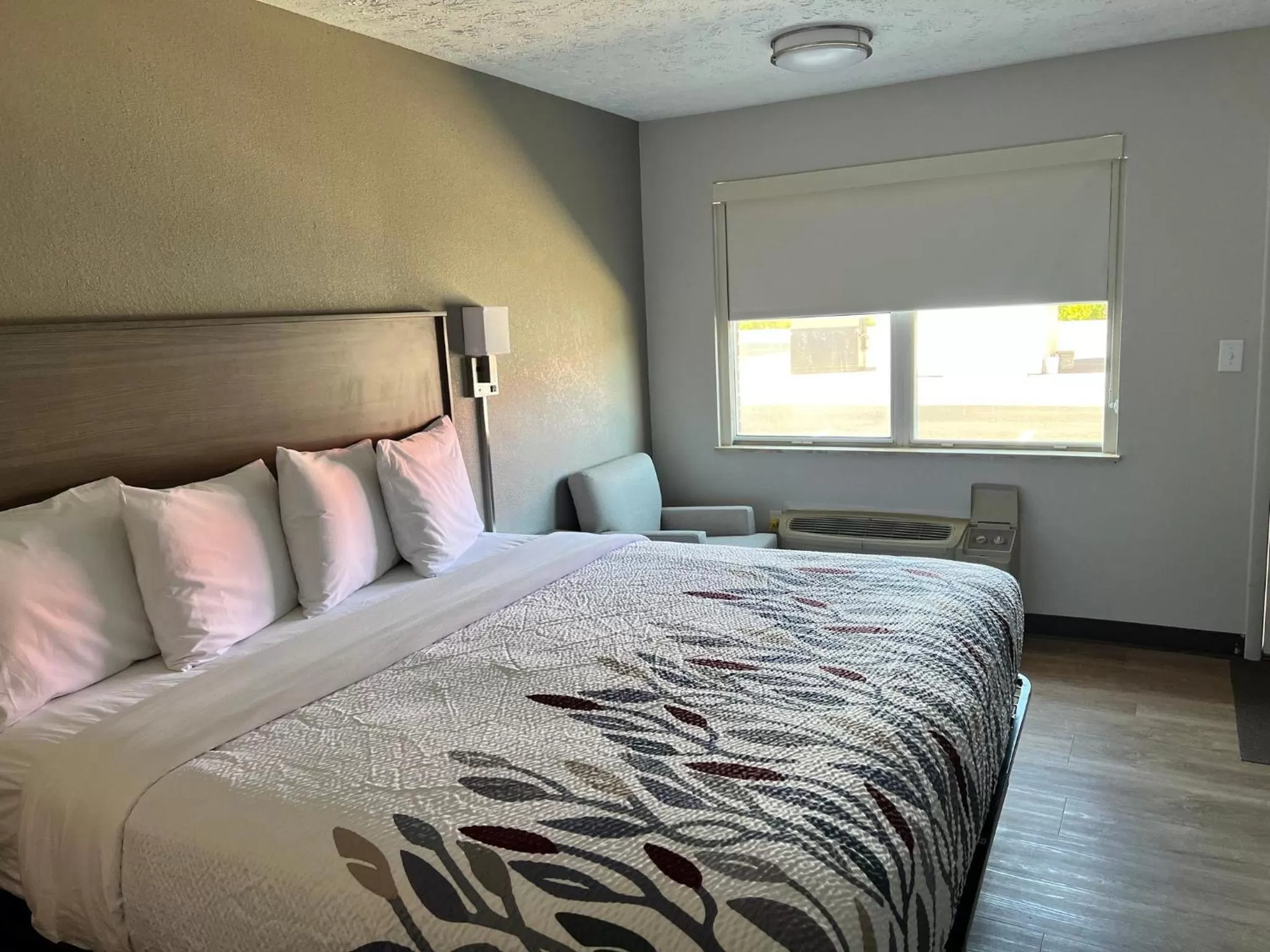 Photo of the whole room, Bed in Red Roof Inn Georgetown, KY