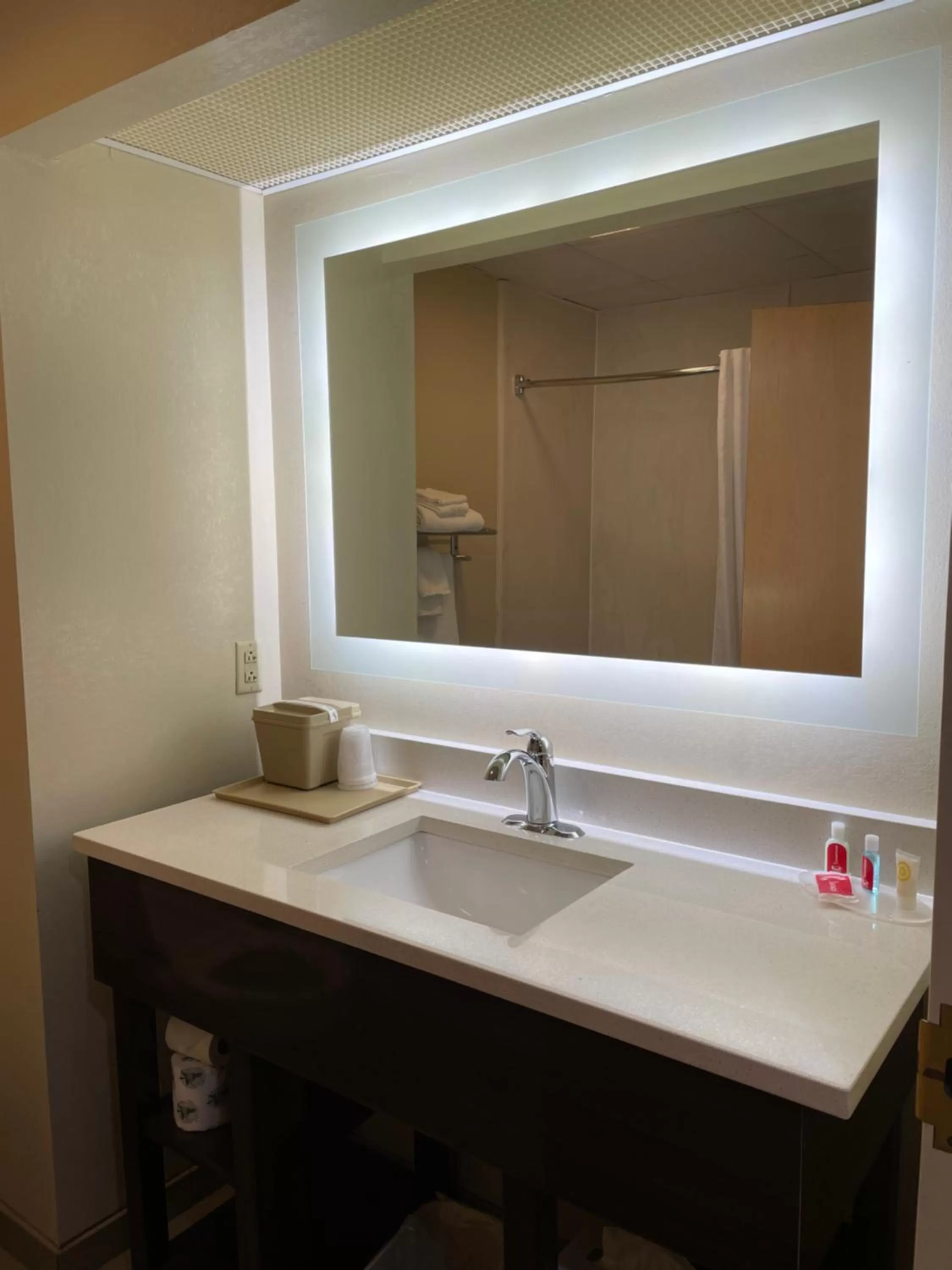 Bathroom in Econo Lodge Newport Smoky Mountains Gateway