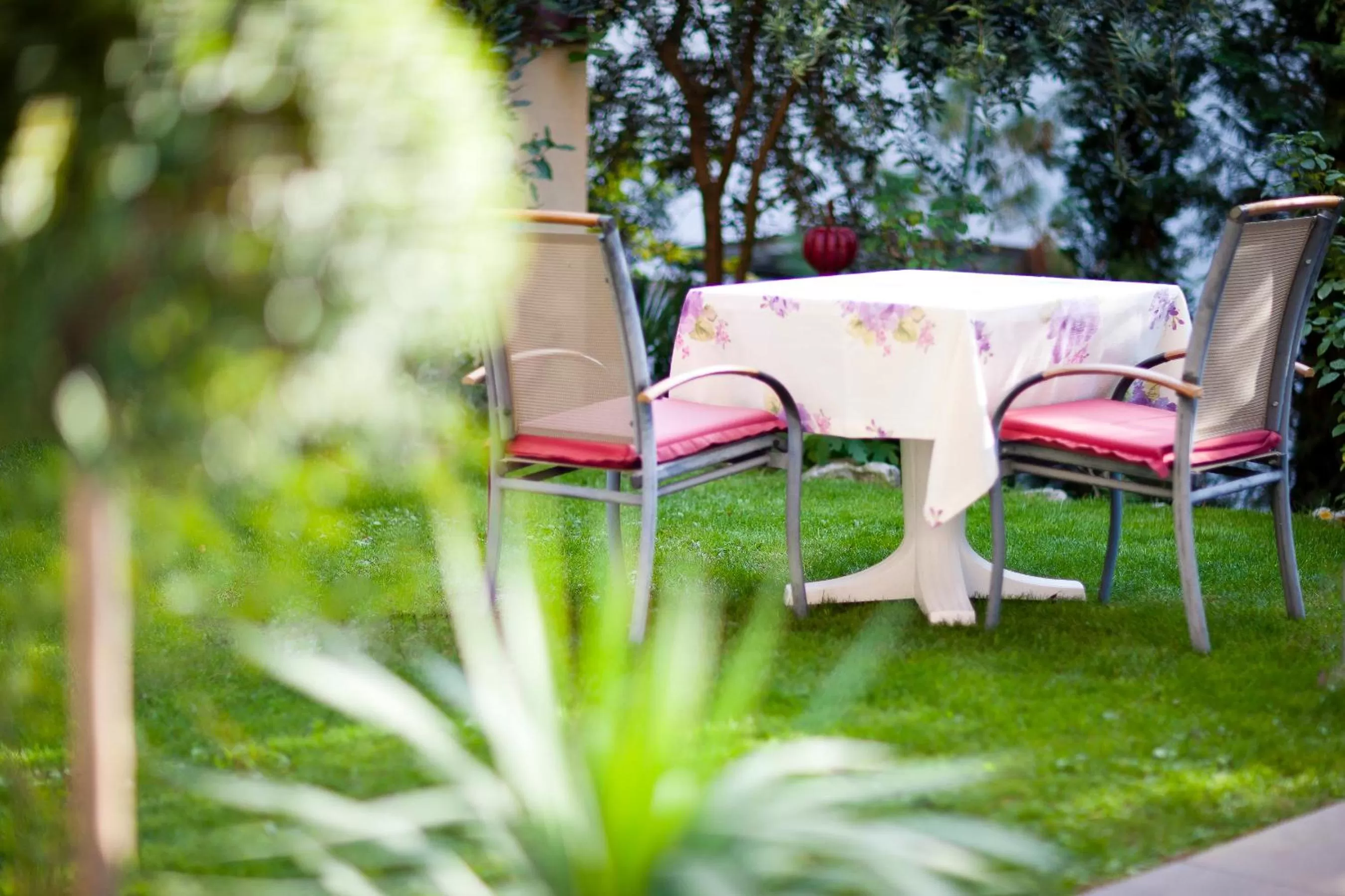 Garden in Hotel Aster