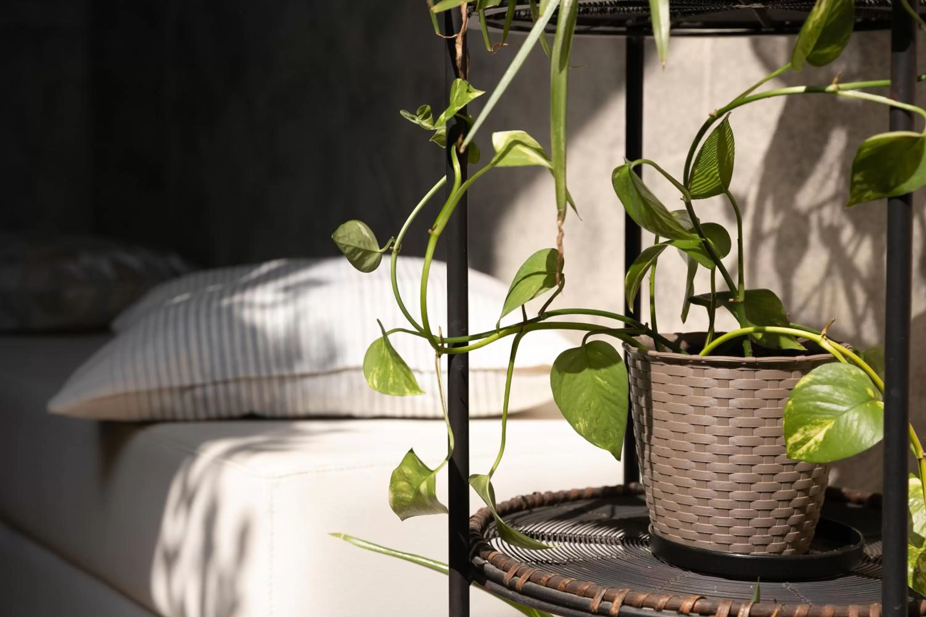 Bed in HOTEL DEL CORSO