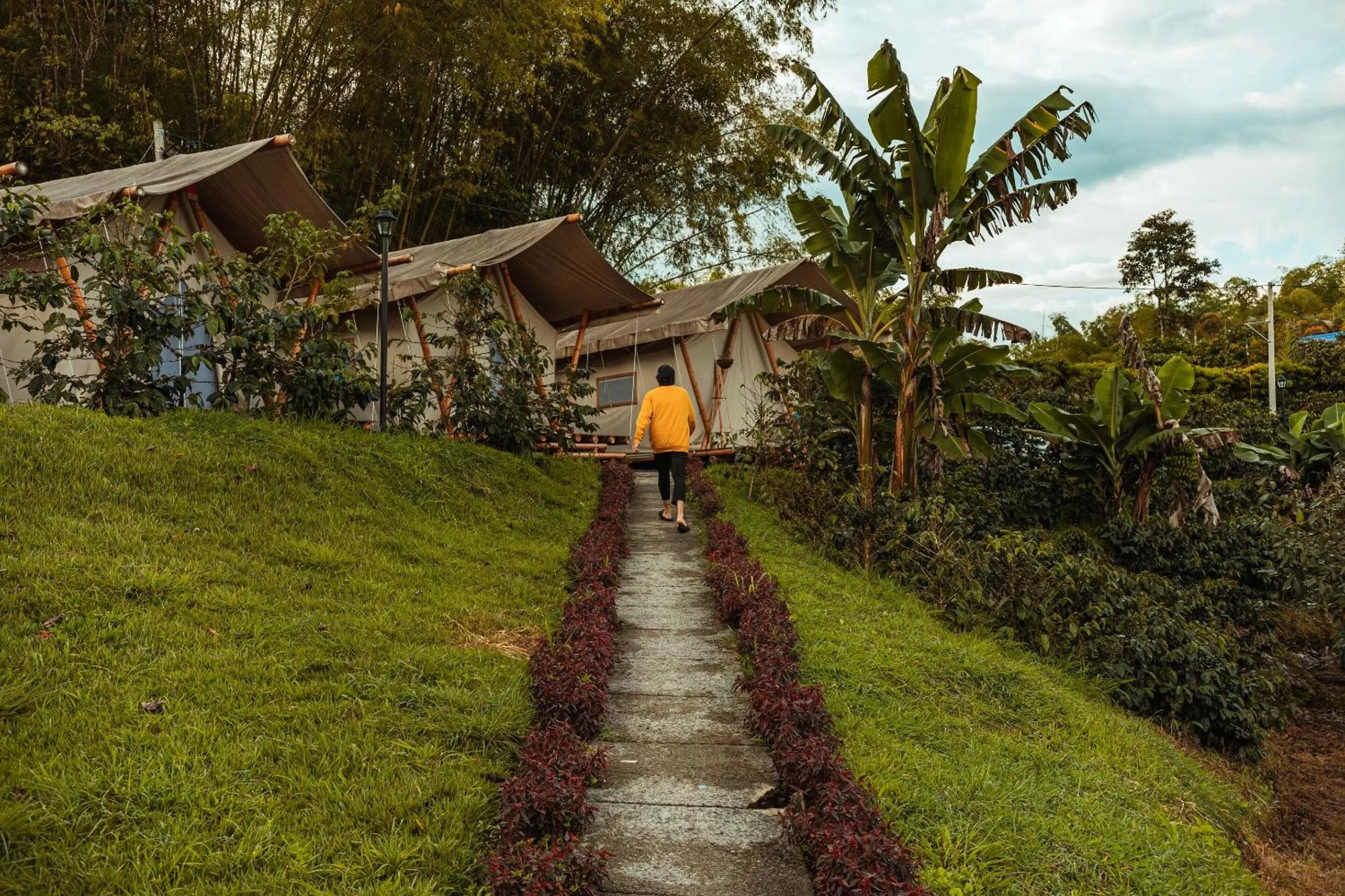 Property Building in Selina Quindio