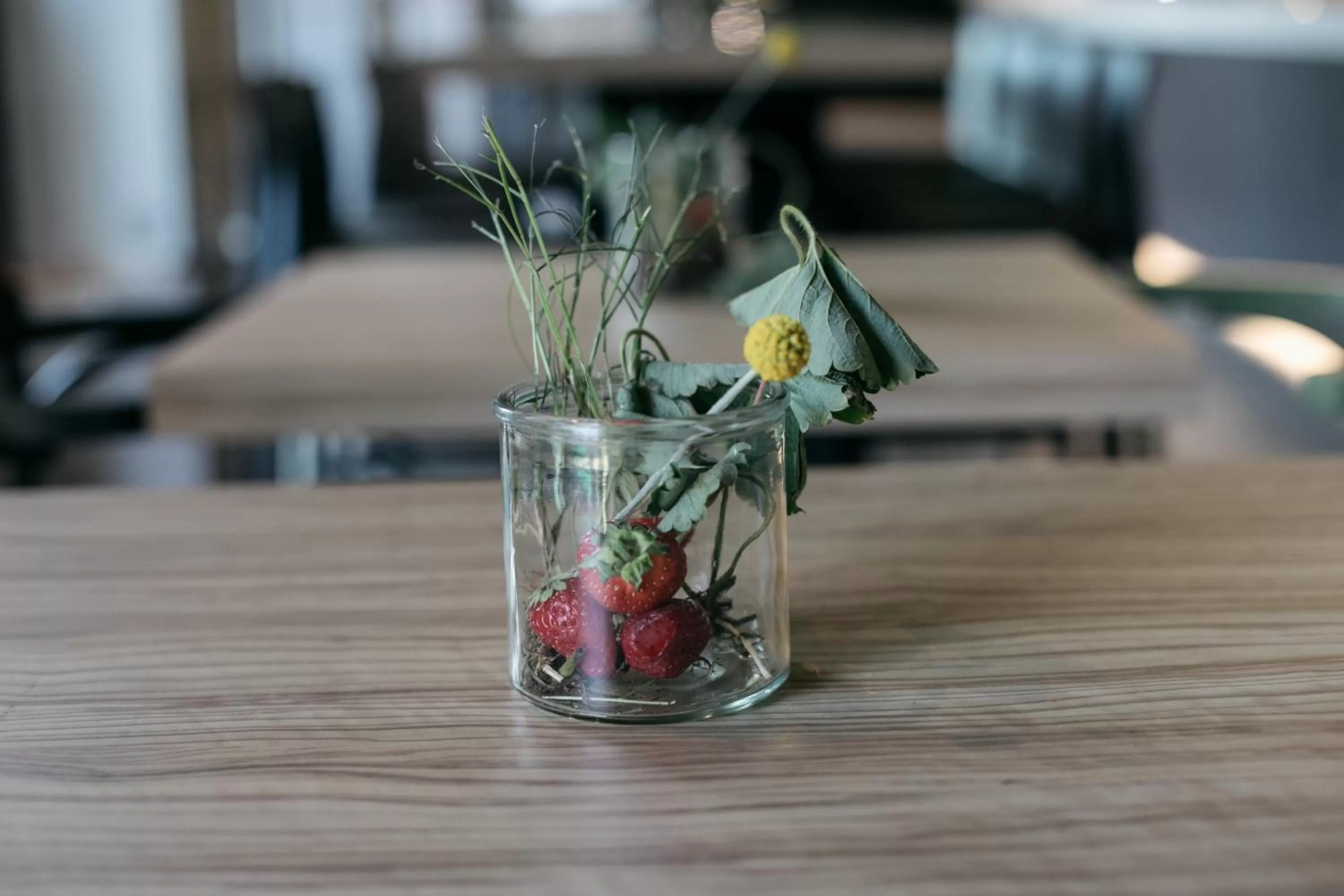 Breakfast in Hotel Aloisi