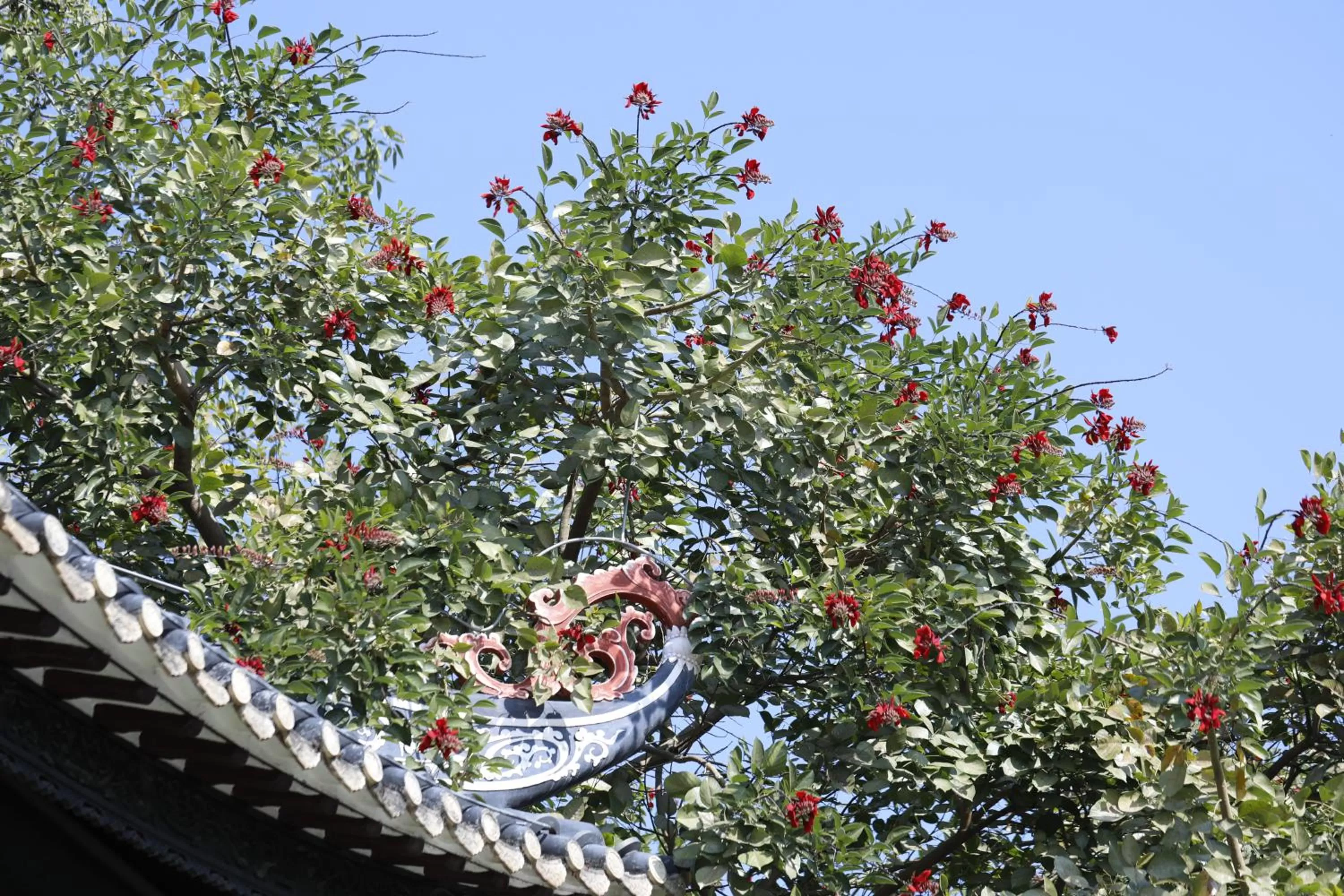 Other in Crowne Plaza Foshan Nanhai-an IHG Hotel